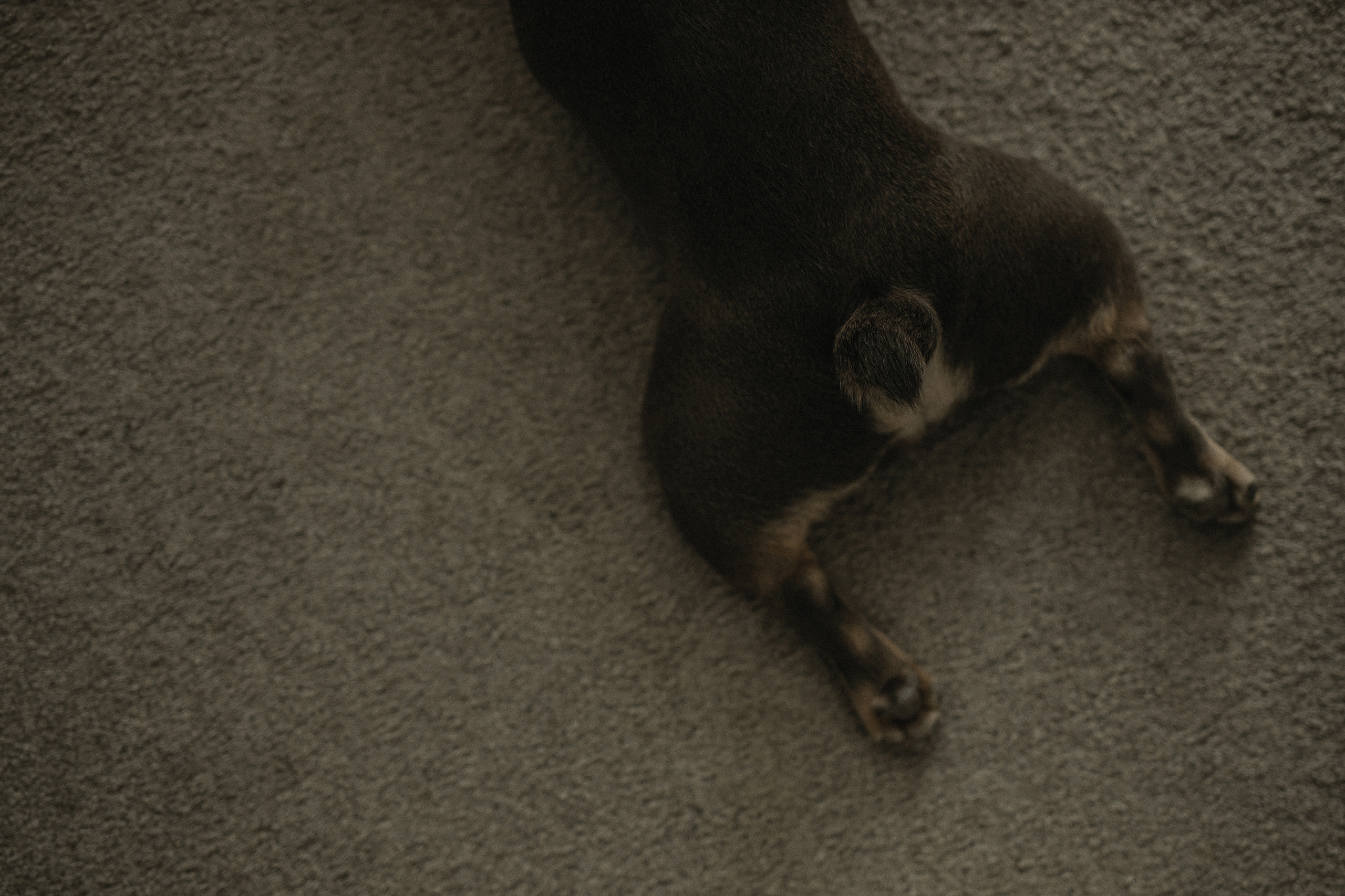 Настя & Вова. Фотограф Serj Ganso