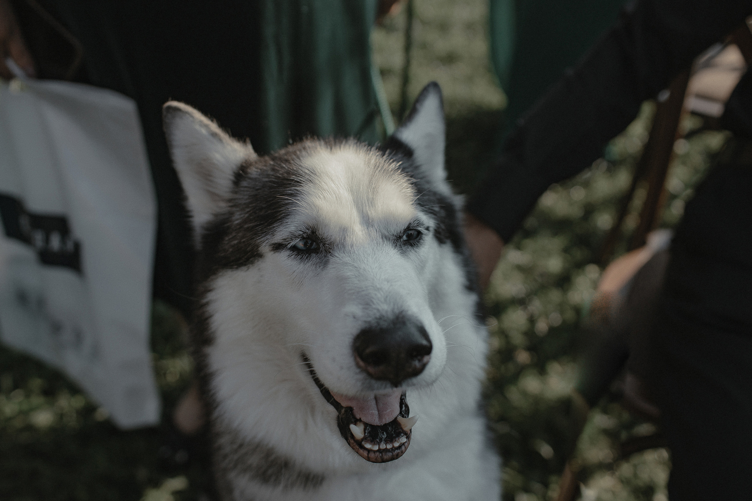 Настя & Женя. Фотограф Serj Ganso