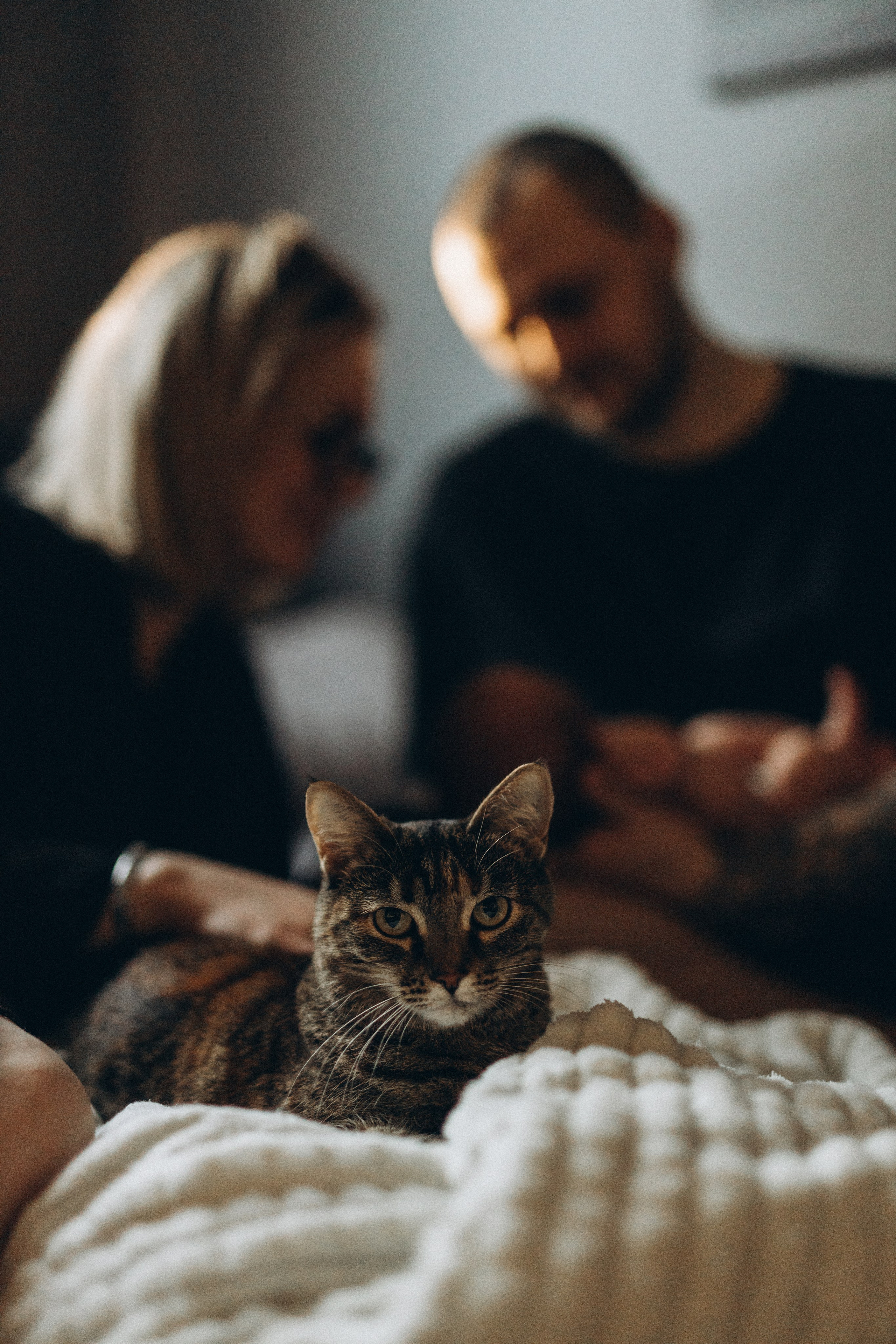 Фотограф для семейной съемки | Екатерина | Портфолио, цены, идеи. Фотограф уникального направления ньюборн в Москве Екатерина Буценина