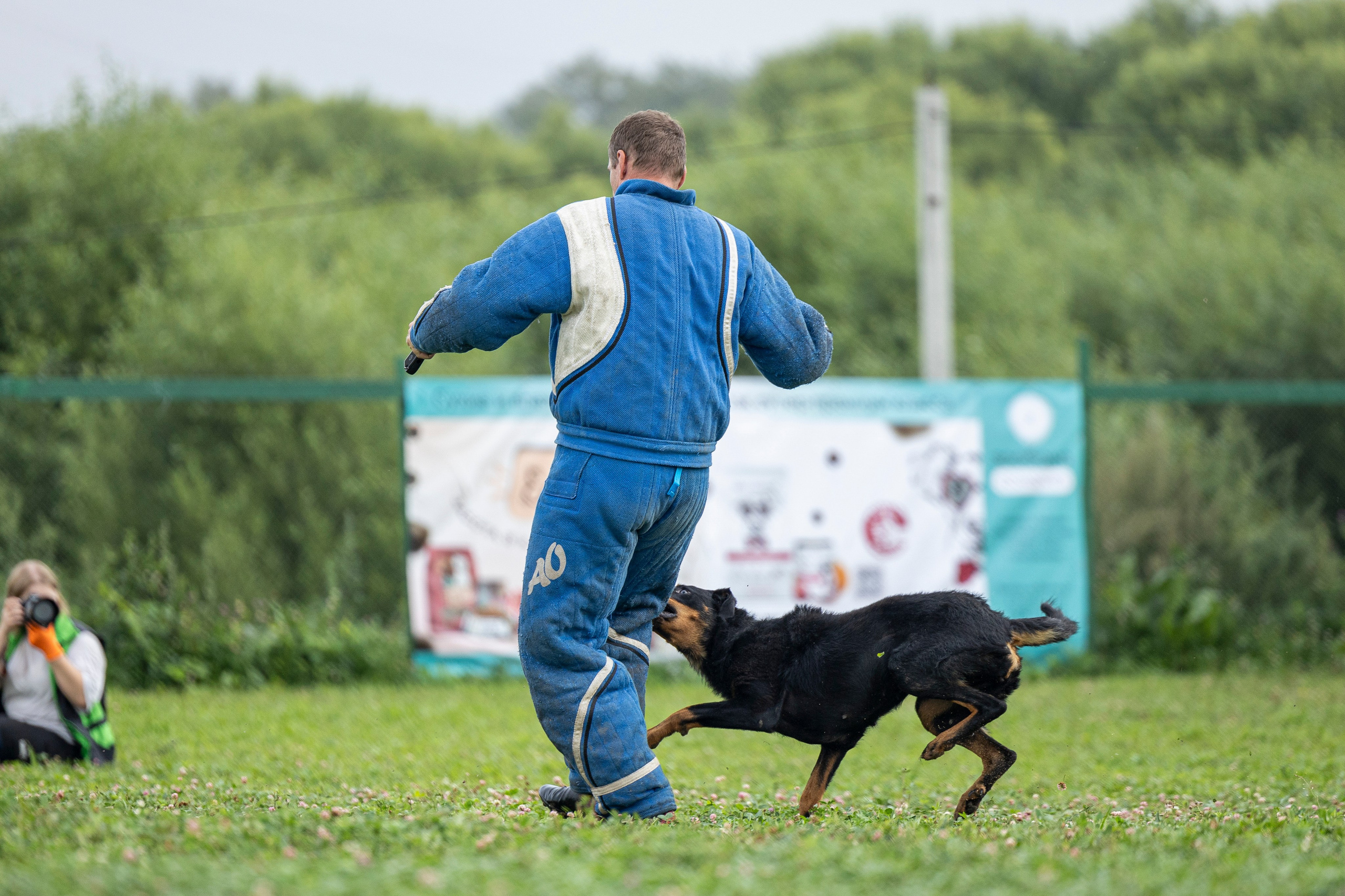 Соревнования по Мондьорингу г. Вологда 10-11.08.2024. Фотограф-анималист Анна Маринич
