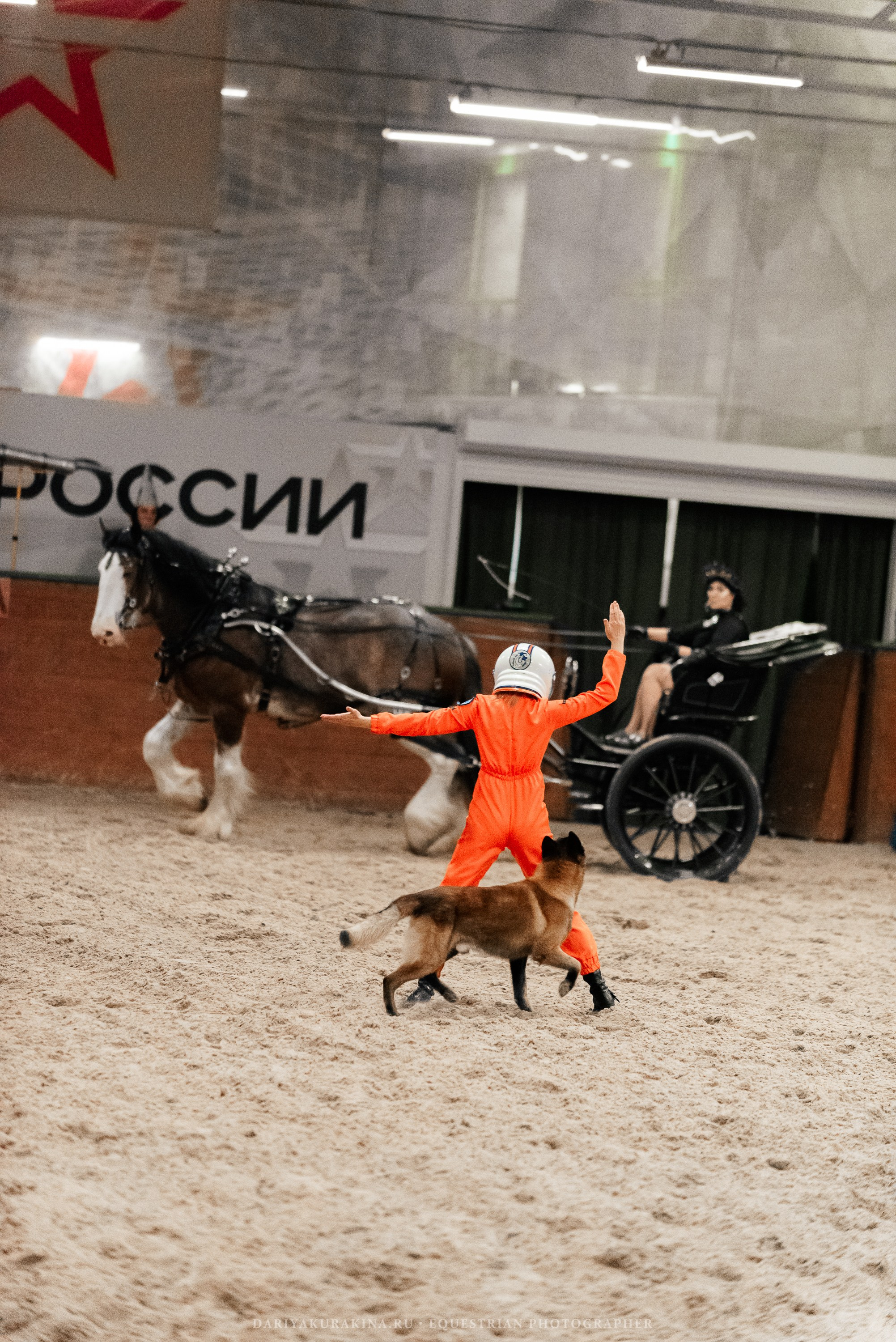 Конное представление «Дыхание Звёзд». Конный фотограф Куракина Дарья • Фотосессии с лошадьми