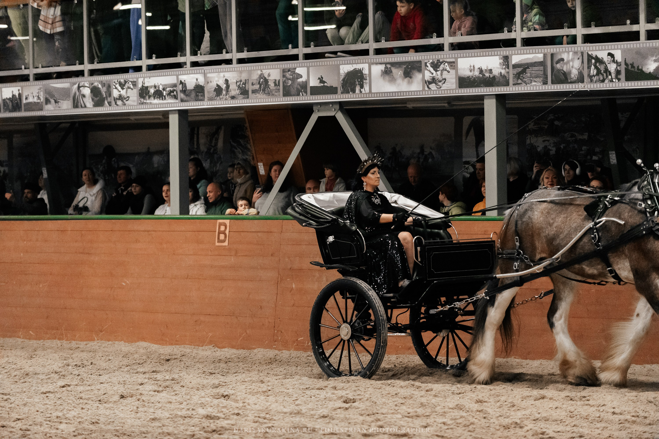 Конное представление «Дыхание Звёзд». Конный фотограф Куракина Дарья • Фотосессии с лошадьми