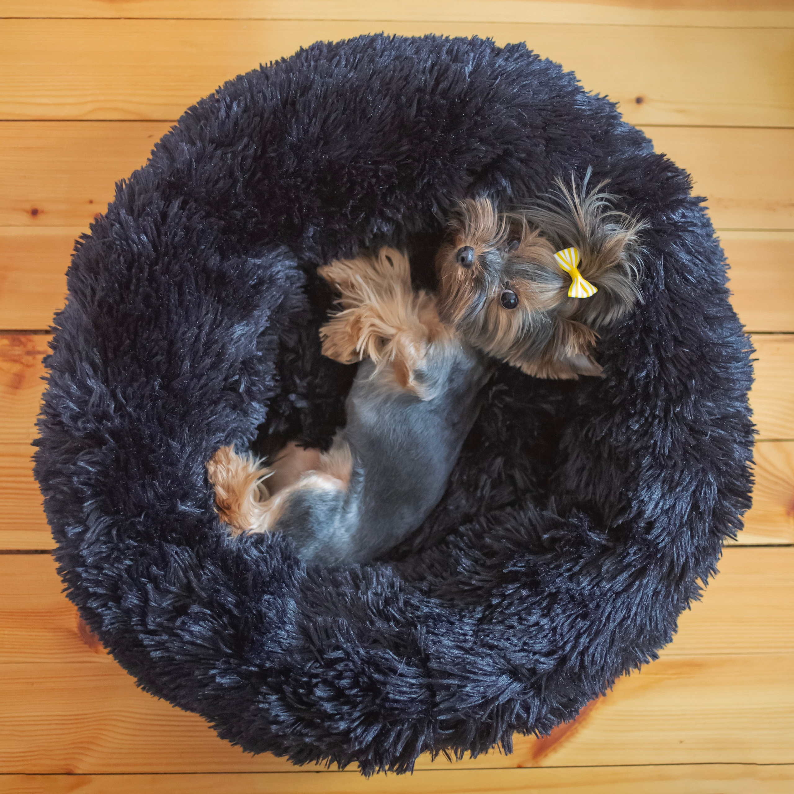 Предметная съемка. Семейный и детский фотограф в Москве и МО — Александра