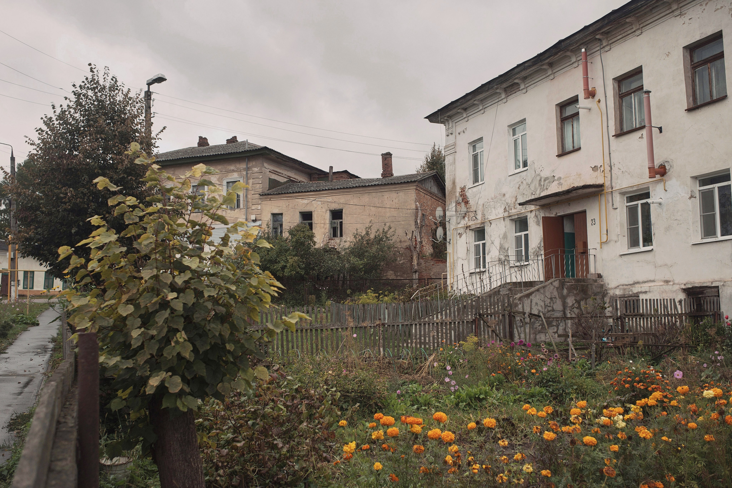 Чекалинцы 2. Дмитрий Ермаков. Фотограф