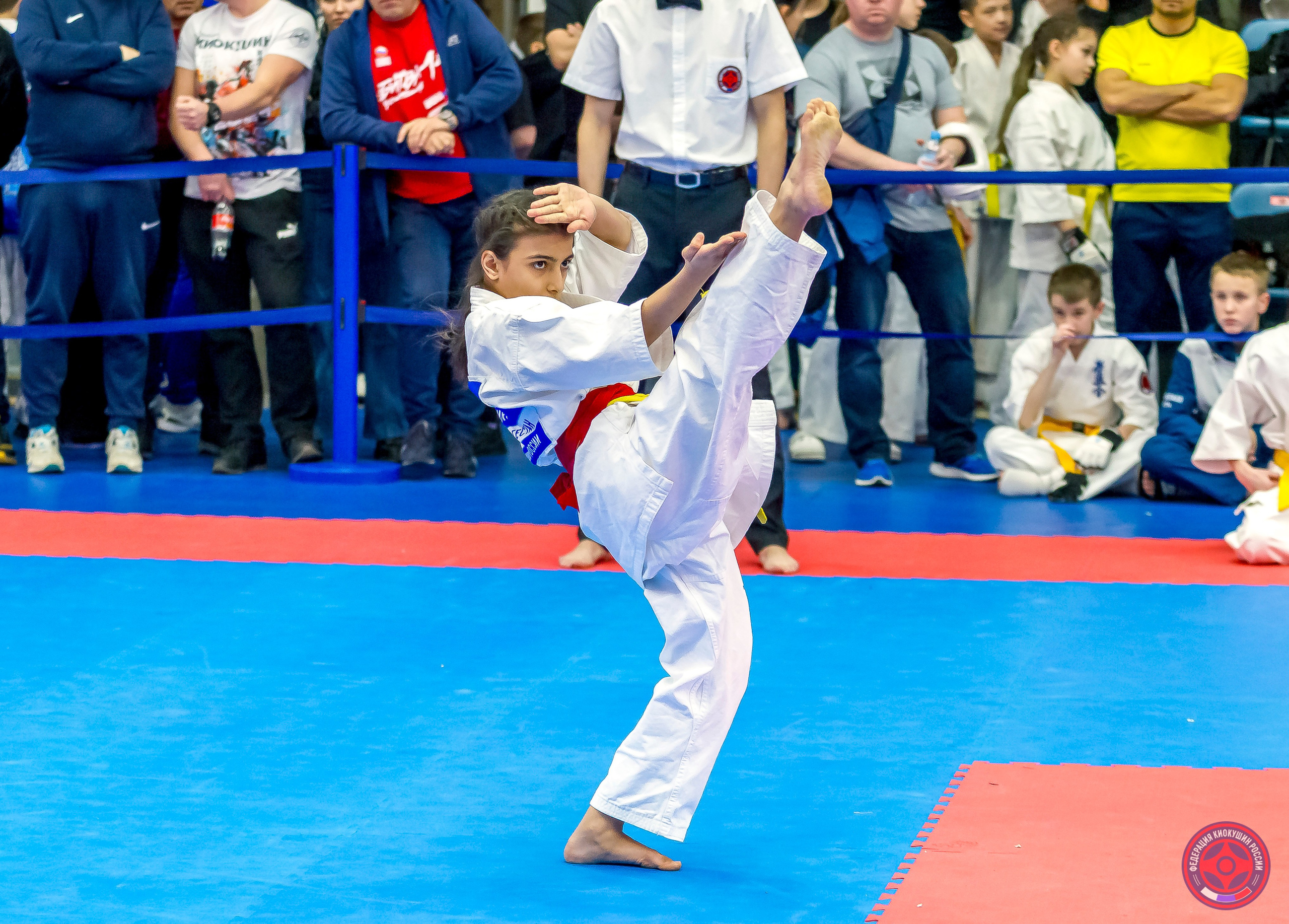 Международный турнир по киокушин «Открытый кубок Seiken». Репортажная съемка в Москве и области. Анималистика