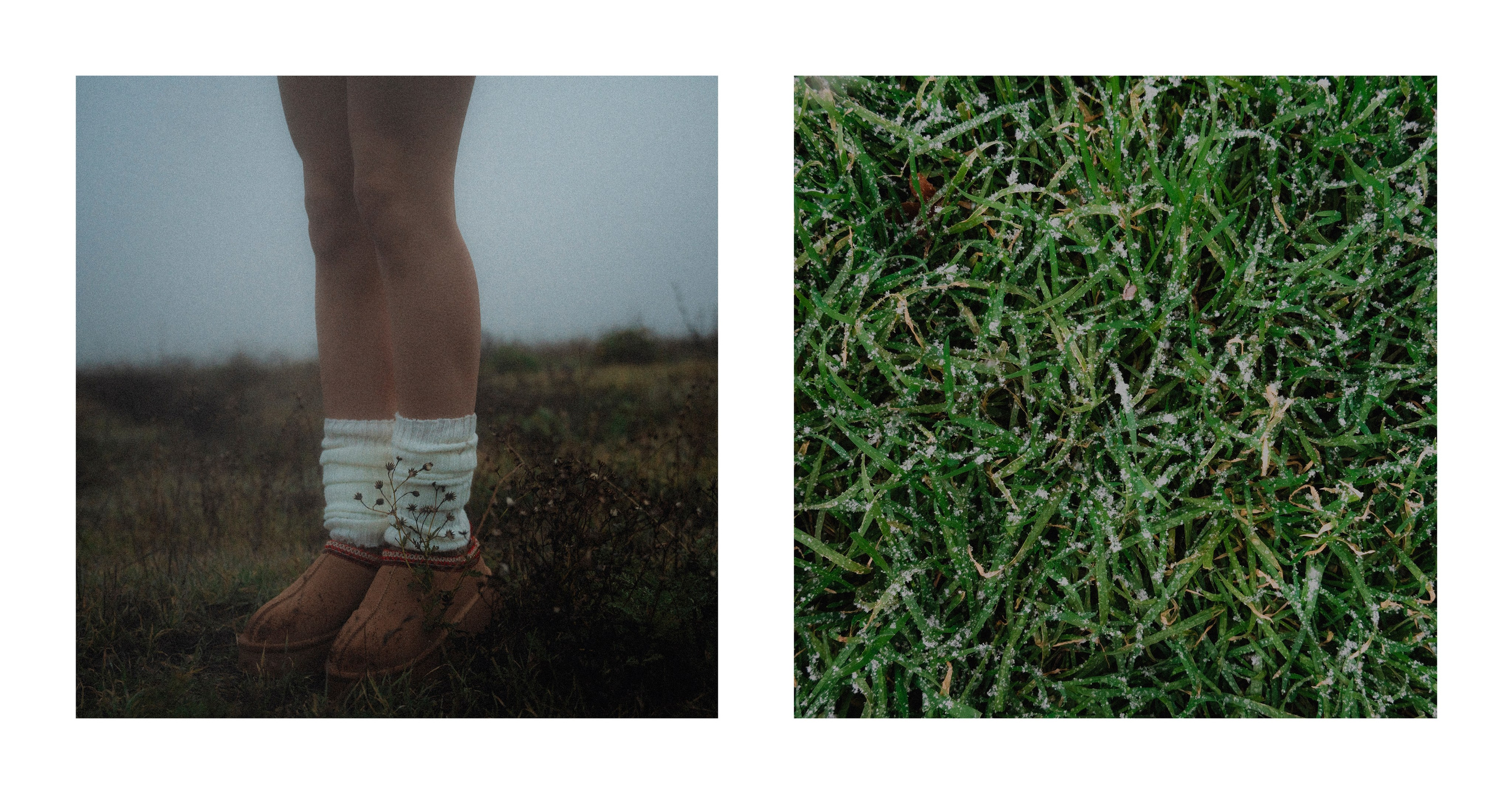 Interpretation. VISUAL ARTIST · KRONGAUZ ANASTASIA