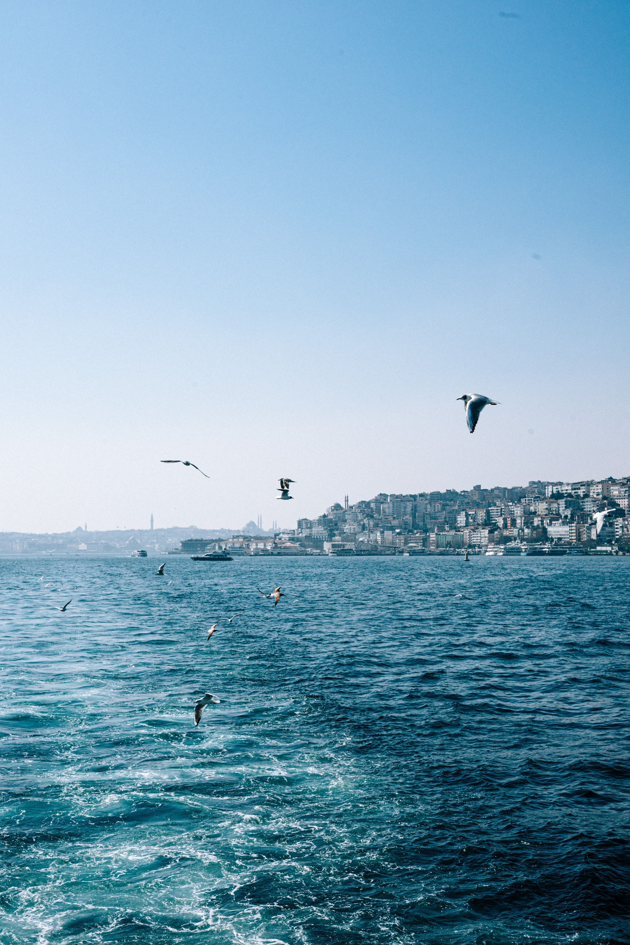 World. Фотограф в Санкт-Петербурге