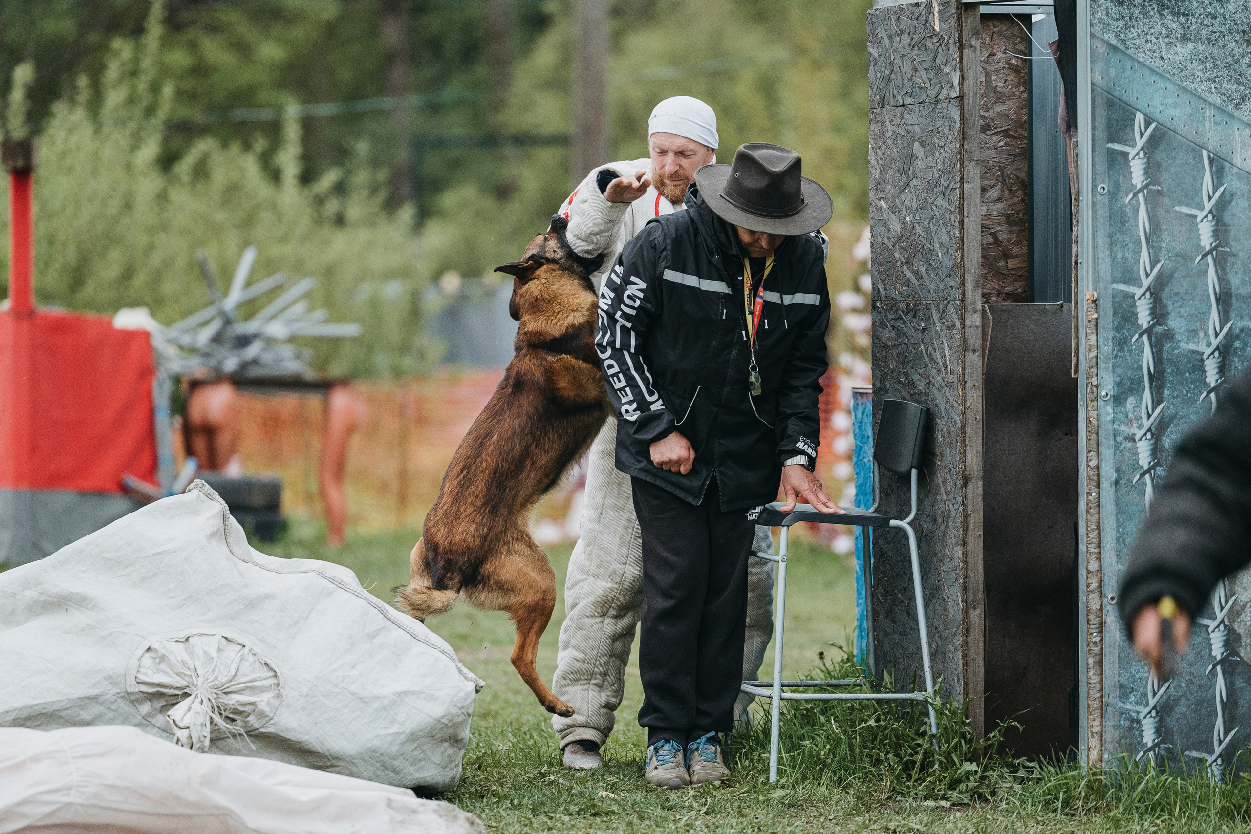 26.05.25 г. Пушкин квалификационные соревнования. Фотограф-анималист Анна Маринич