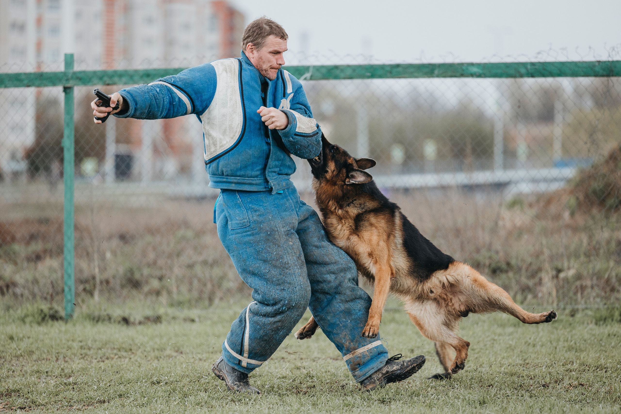 09.05.25 Вологда соревнования. Фотограф-анималист Анна Маринич