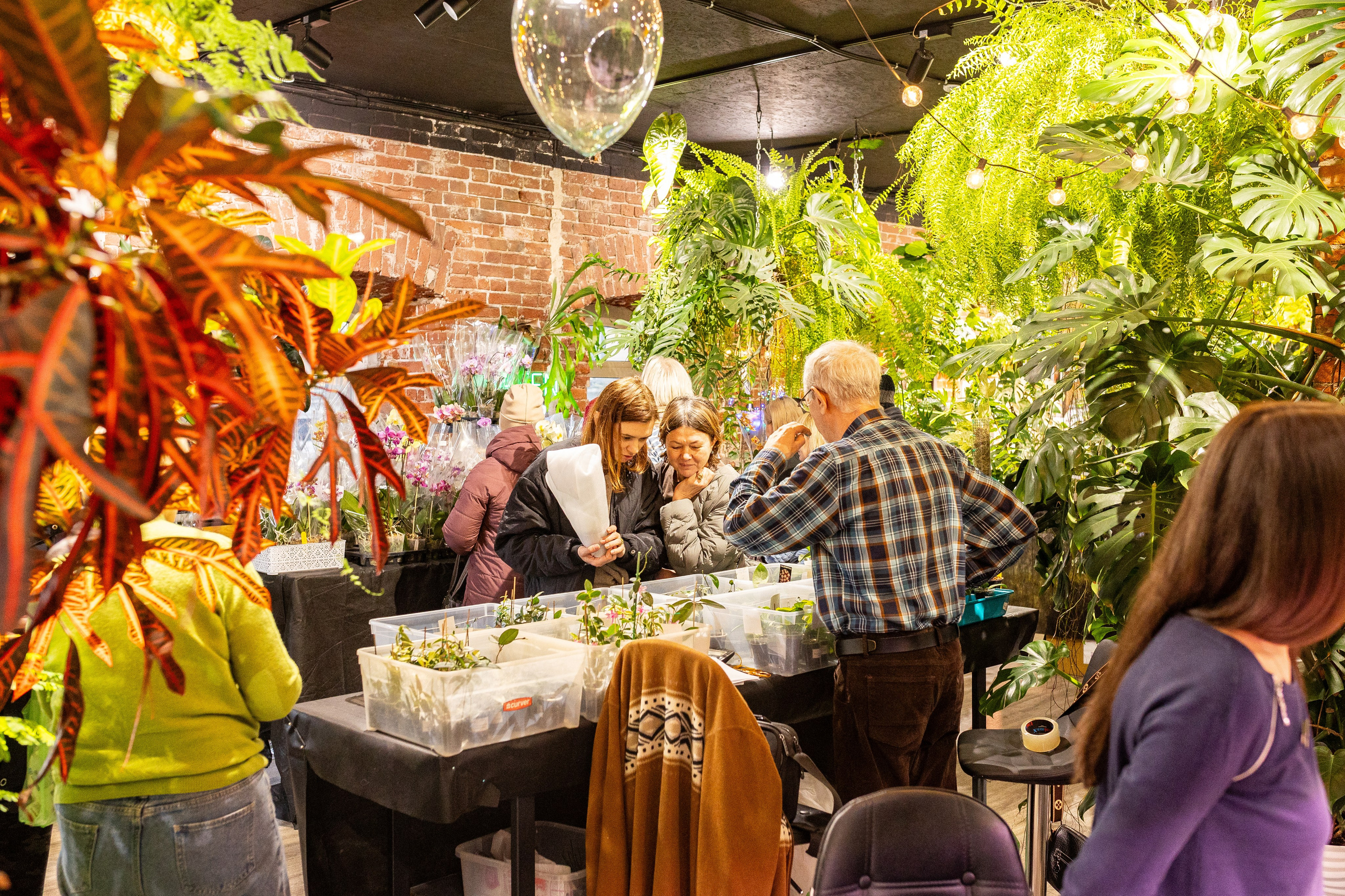 Green_Rare Ярмарка февраль 2025. Александра Куликова фотограф, Москва