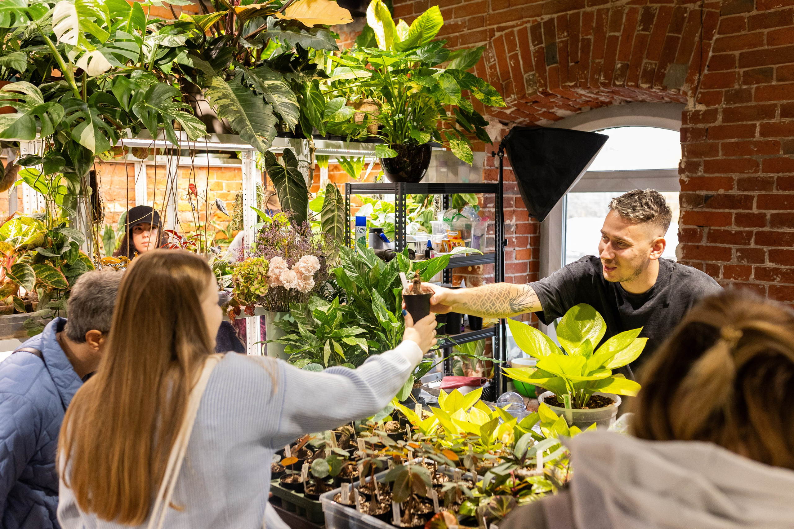 GreenRare ярмарка 2024. Александра Куликова фотограф, Москва