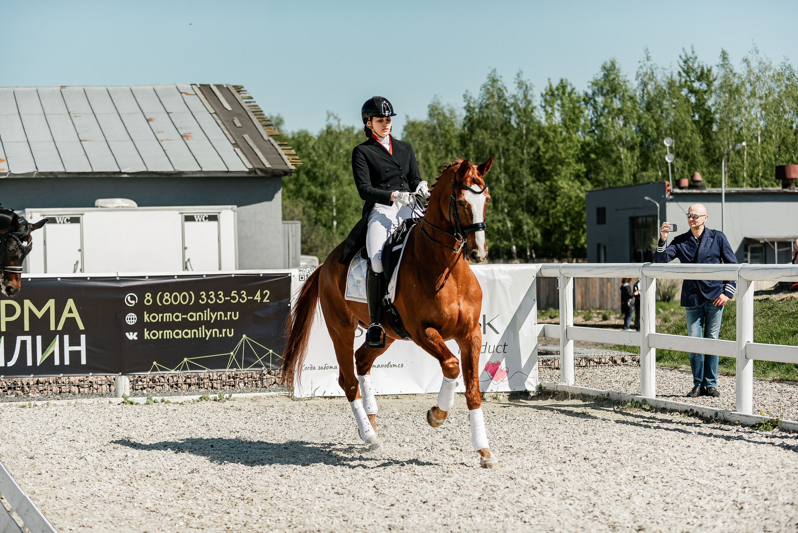 РЕПОРТАЖ МКК ВОЛЬТ «LA TULIPS». Конный фотограф Куракина Дарья • Фотосессии с лошадьми