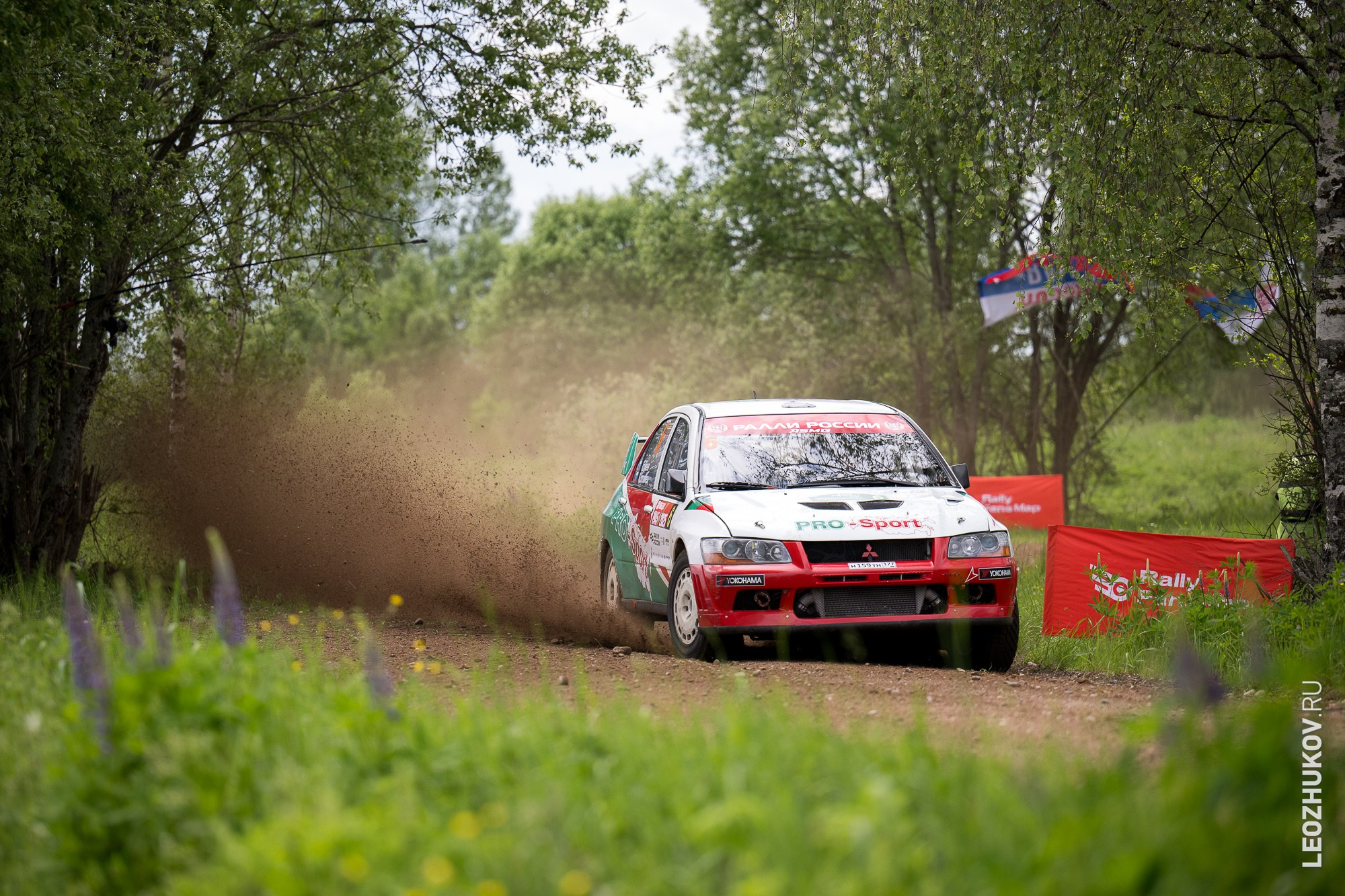 Rally Pushkinskie gory 2025. Sports photographer Leonid Zhukov