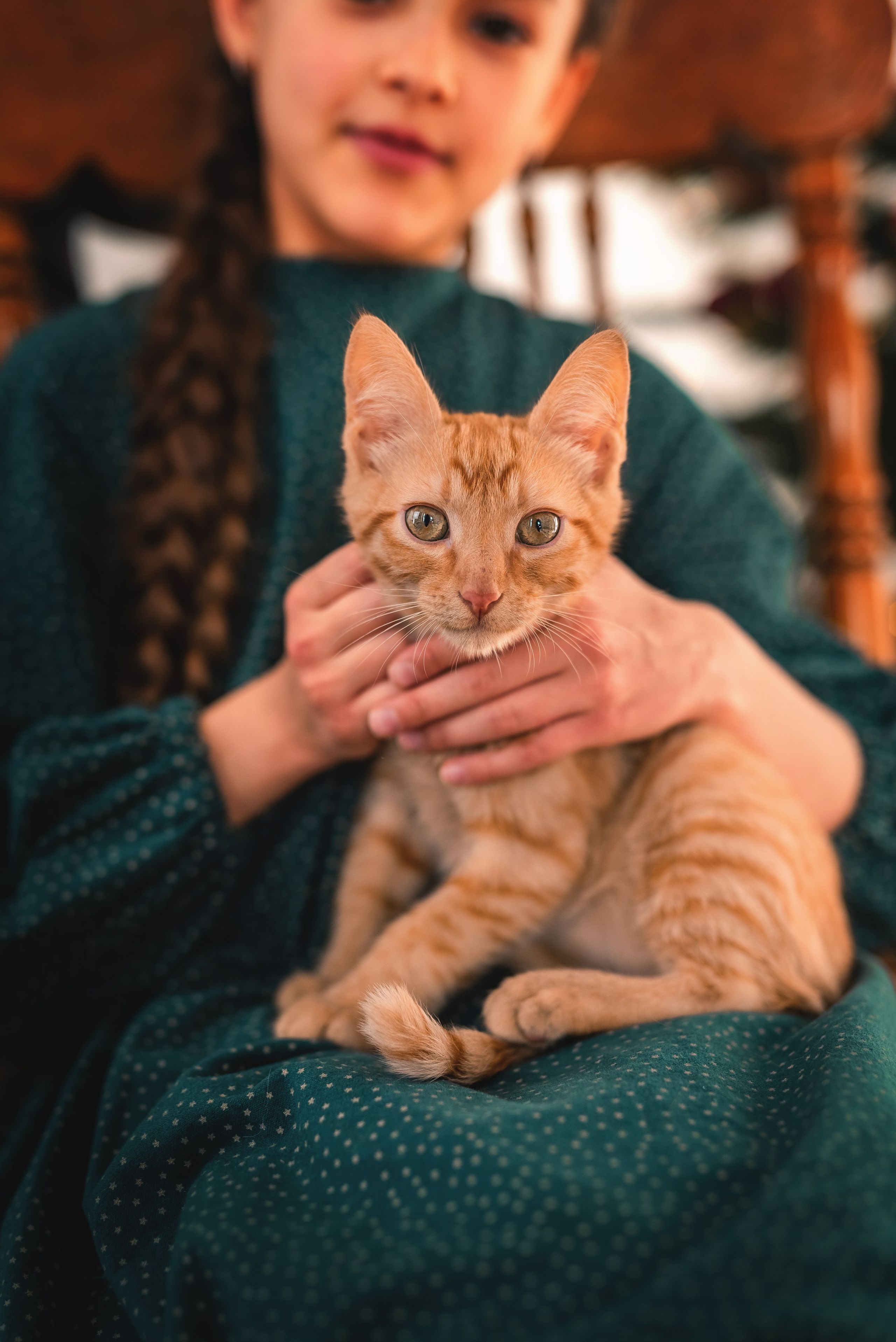 Рождественское утро. Семейный, детский фотограф в Воронеже Анна Никитина