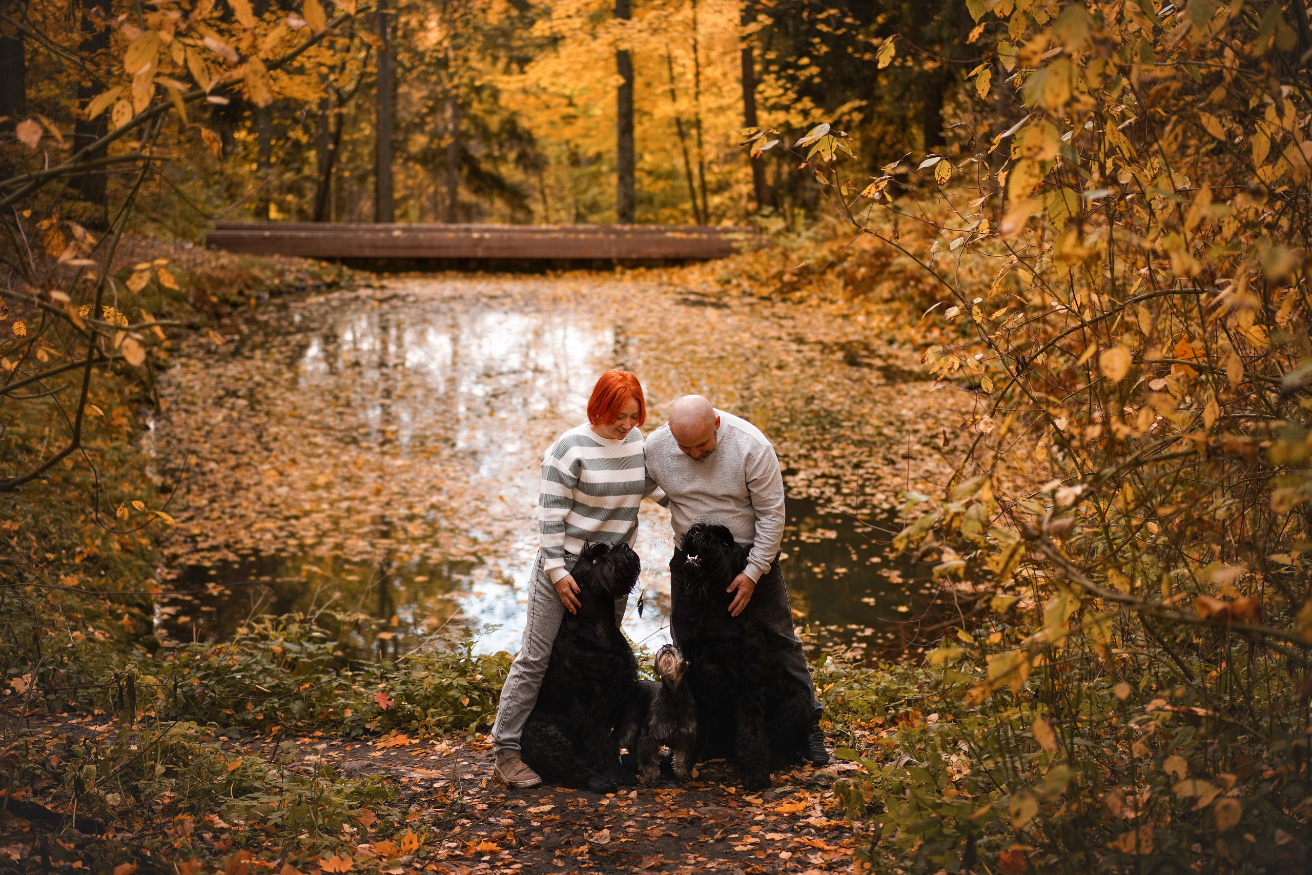 Оля Миша и шнауцеры. Фотограф-анималист в Санкт-Петербурге Яна Мартынова