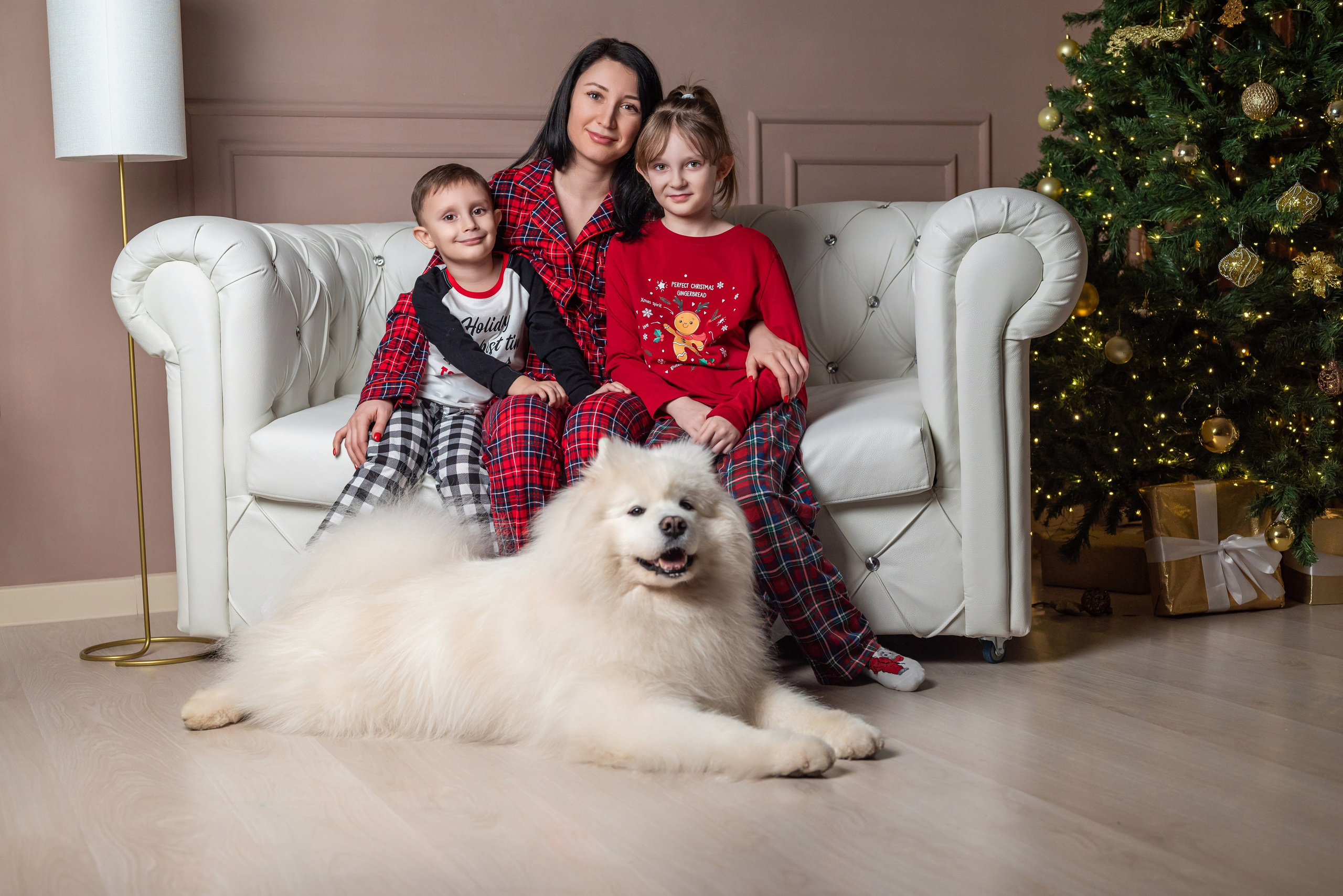 Фотопроект с самоедом 2023 г. Фотограф в городе Салават