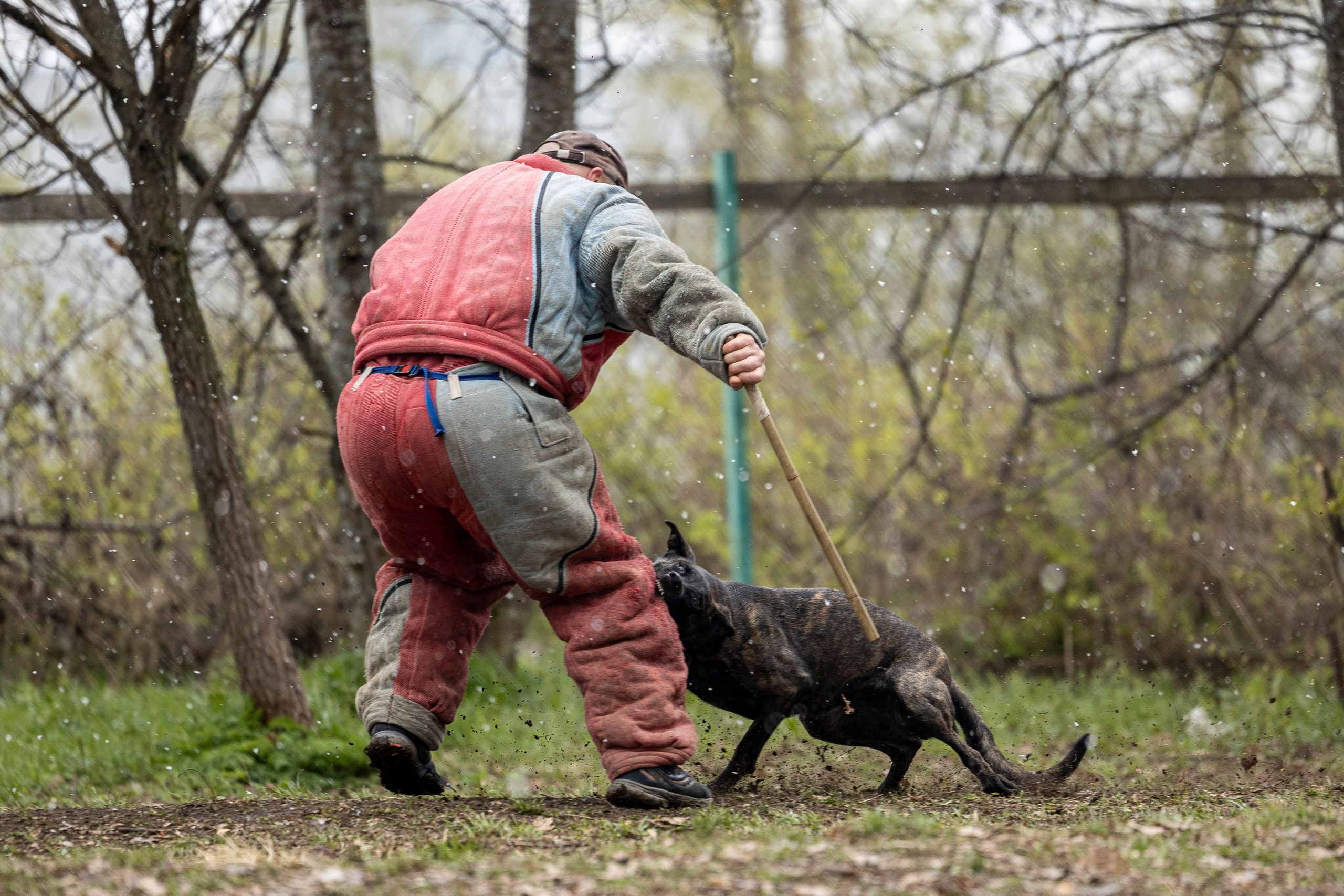 Квалификационные состязания по мондьорингу г. Вологда 11.05.24. Фотограф-анималист Анна Маринич