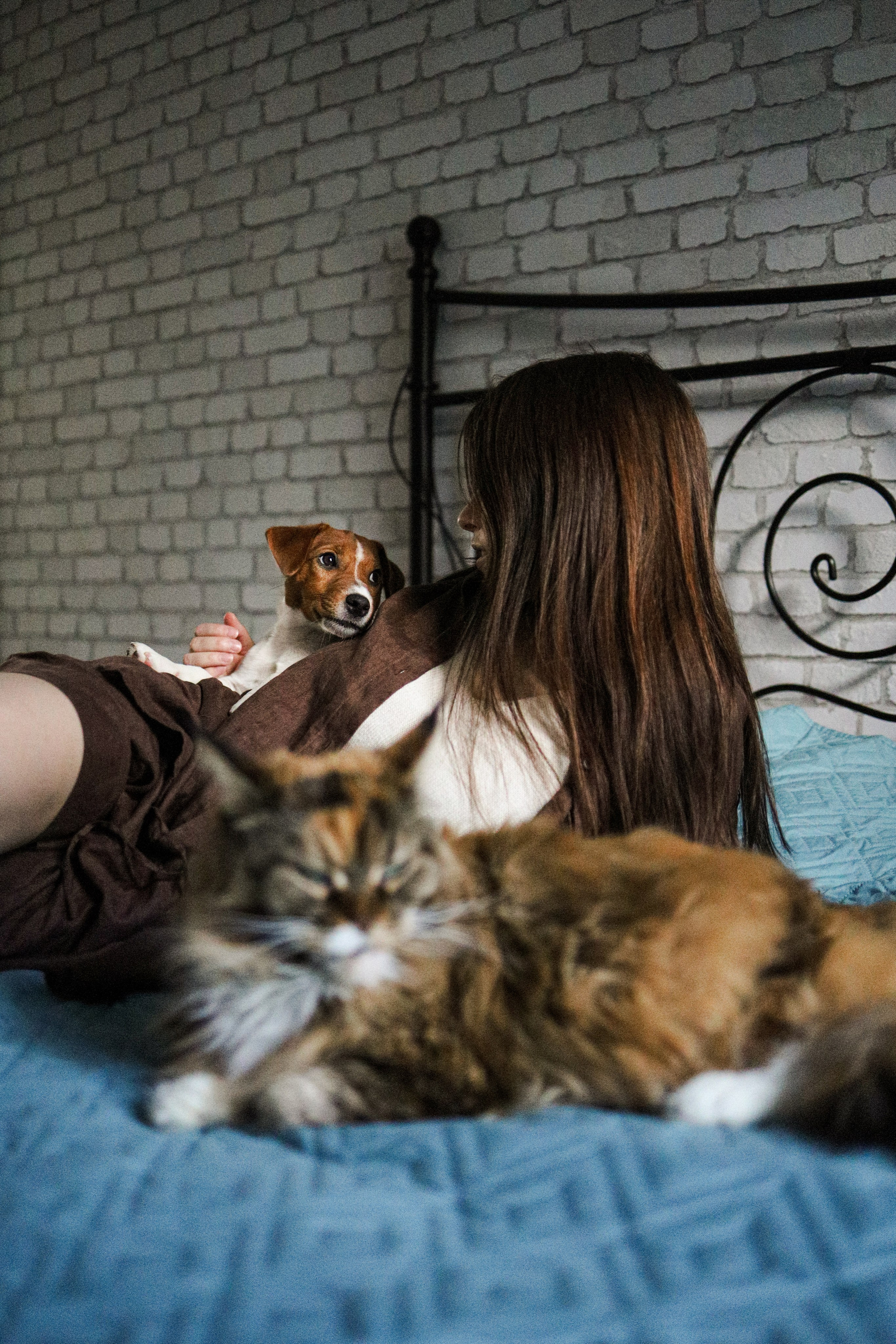 Домашняя история про Арни и его друзей. Фотограф-анималист Ксения Шевцова|Москва