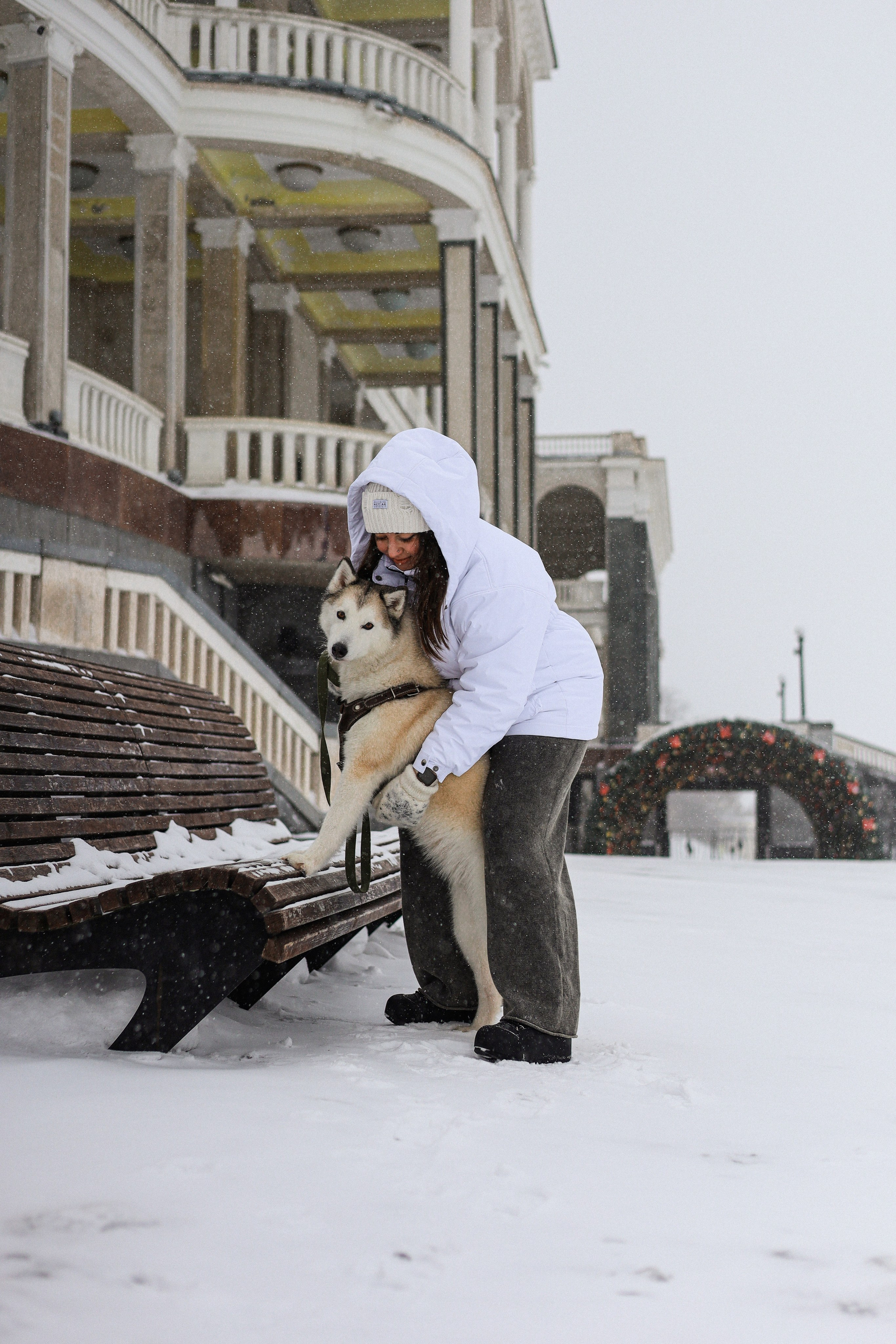 Мила, Лиза и Матвей. Фотограф-анималист Ксения Шевцова|Москва