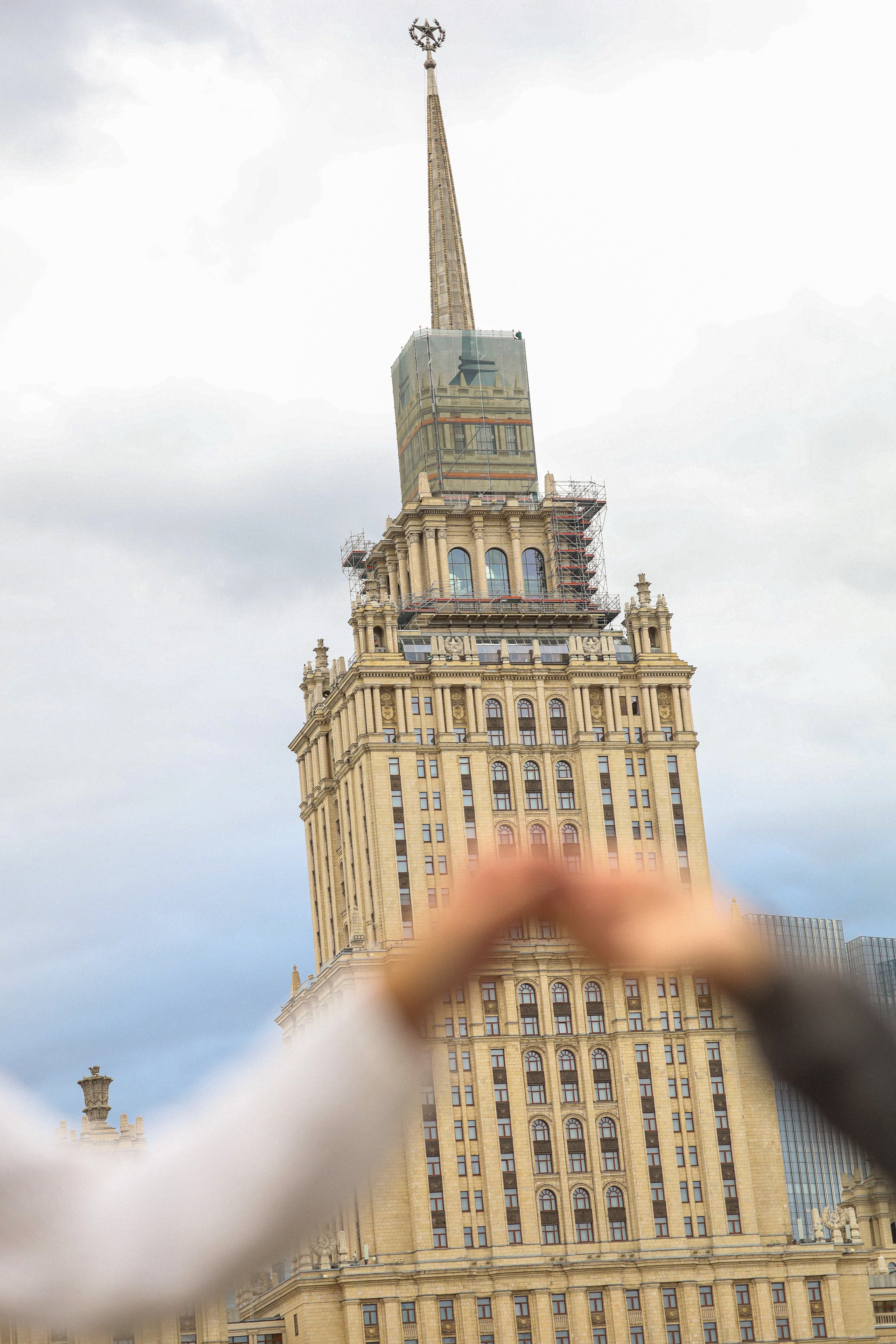 Костя, Аня и Влад. Фотограф-анималист Ксения Шевцова|Москва