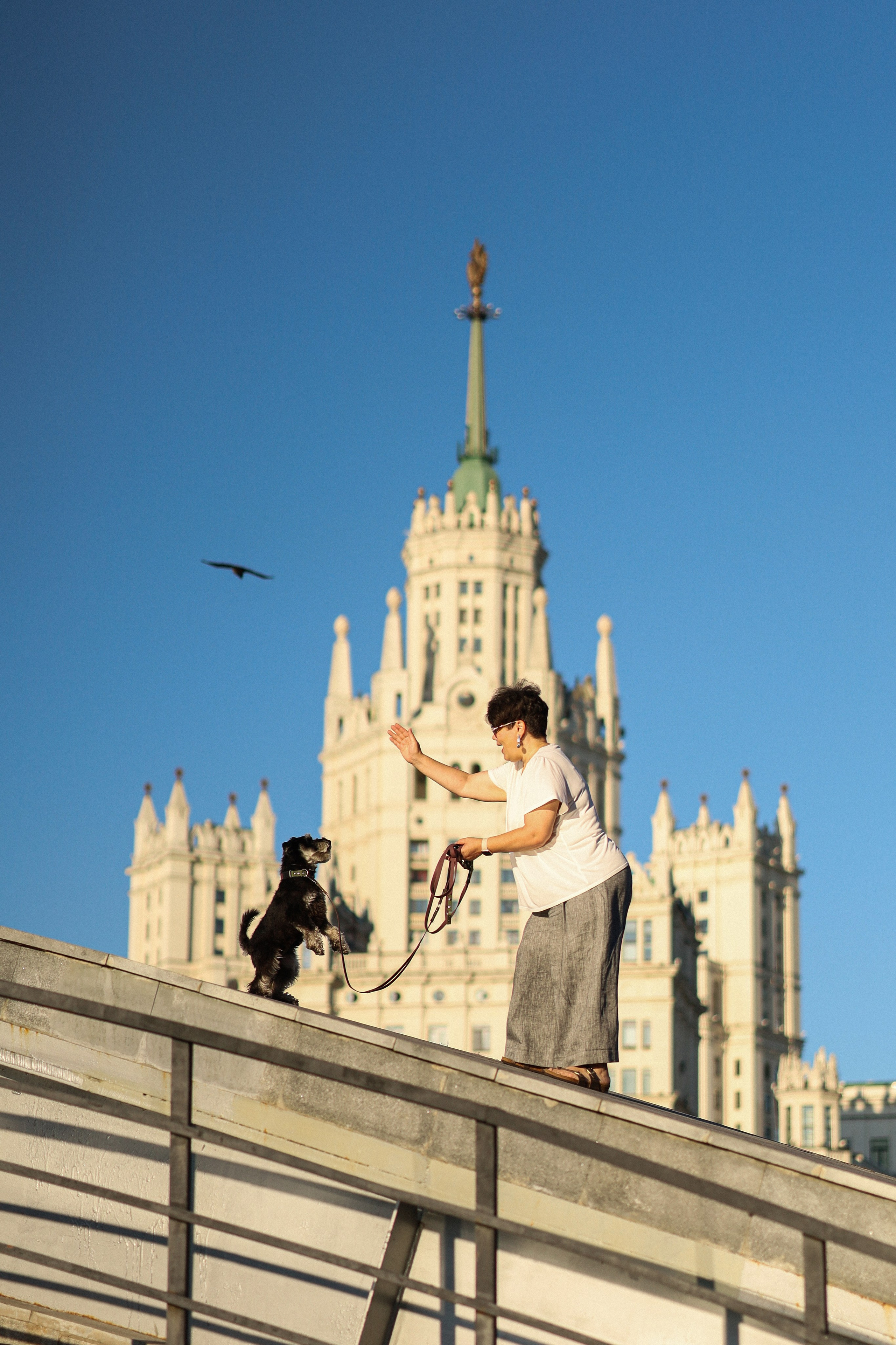 Яртен и Даша. Фотограф-анималист Ксения Шевцова|Москва