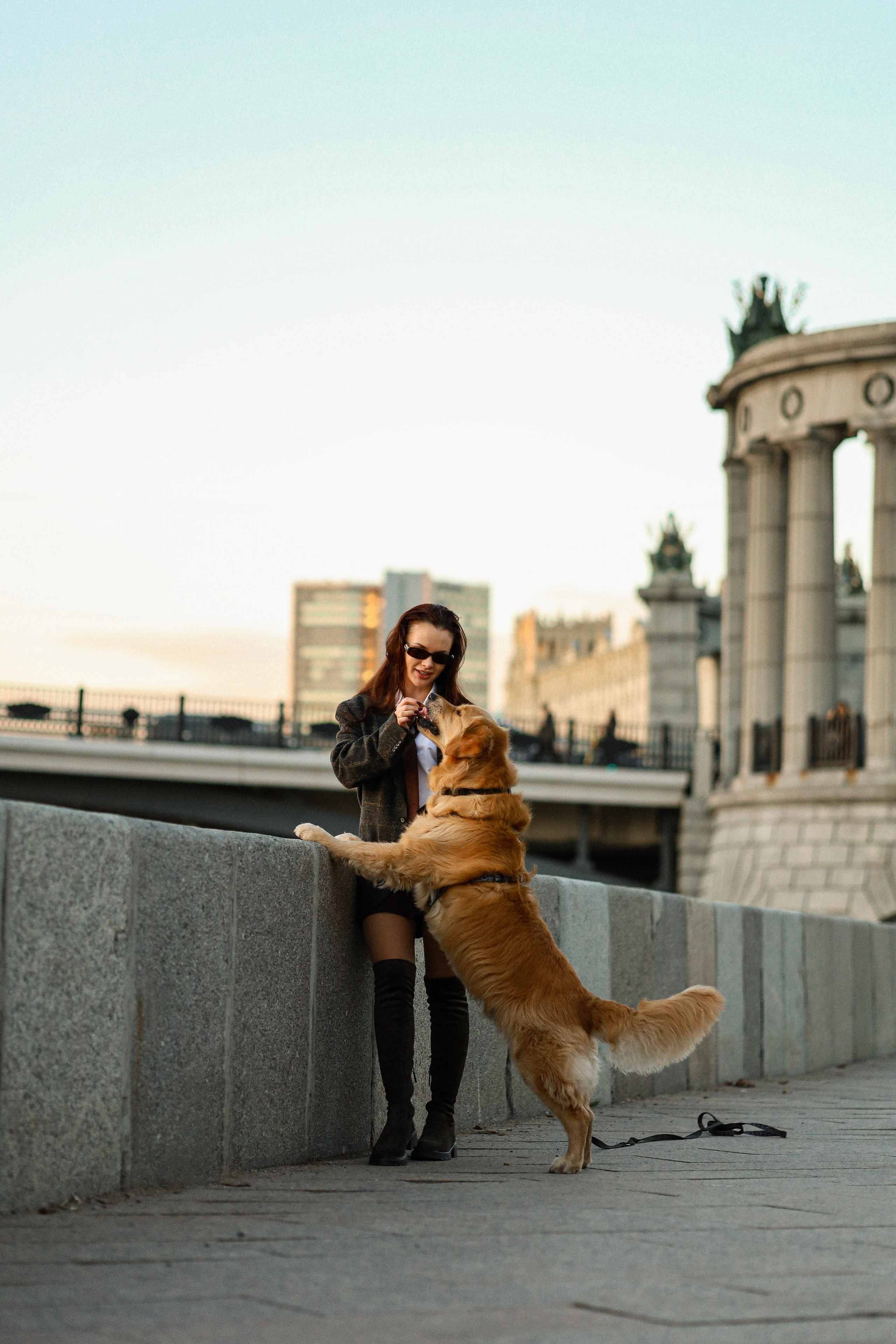 Лёва и Катя. Прогулка по Москве. Фотограф-анималист Ксения Шевцова|Москва
