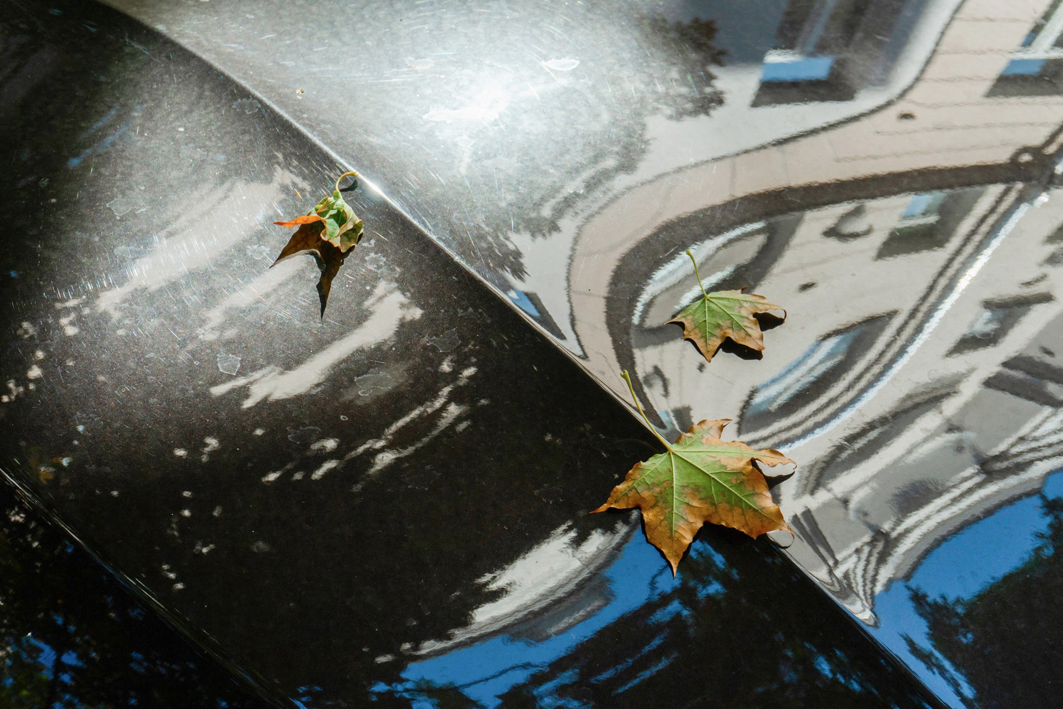 Симуляторы (Каталог № 3). Главная