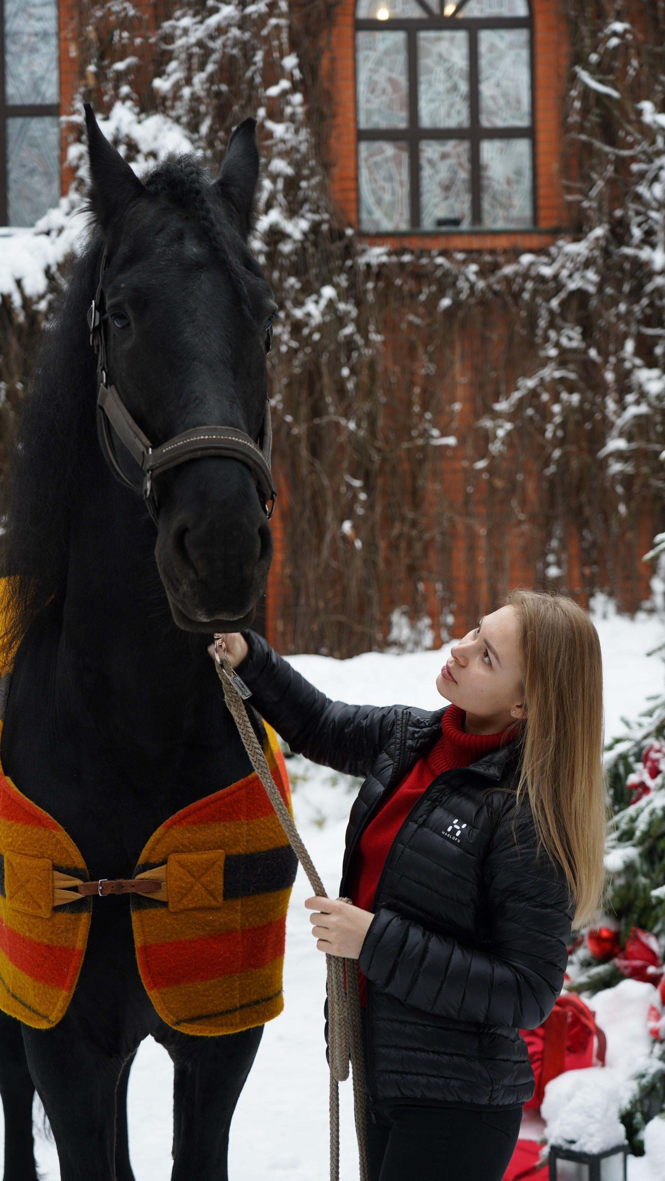 Фотосессия с лошадьми. Главная