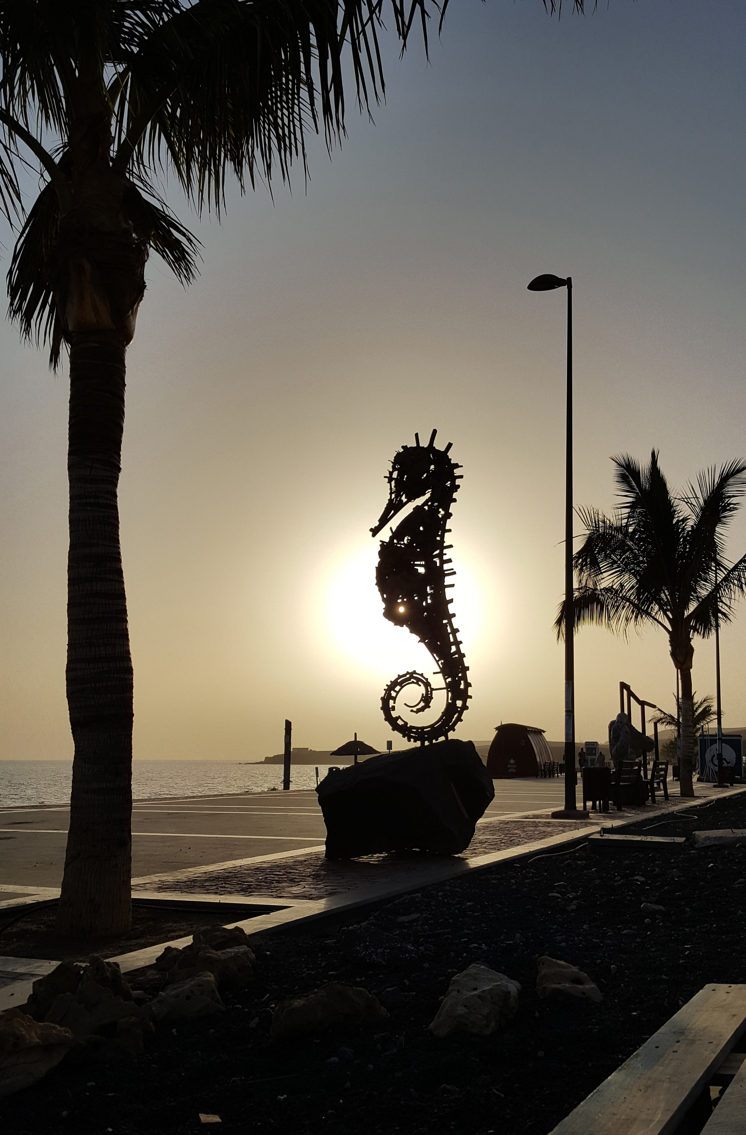 Морской конёк/Испания/Канарские о-ва/ Фуэртевентура/2017. Художник — скульптор Антонина Фатхуллина