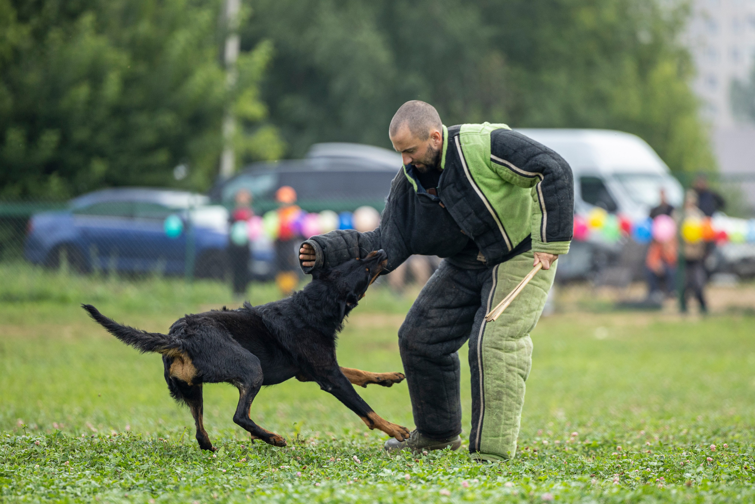 Соревнования по Мондьорингу г. Вологда 10-11.08.2024. Фотограф-анималист Анна Маринич