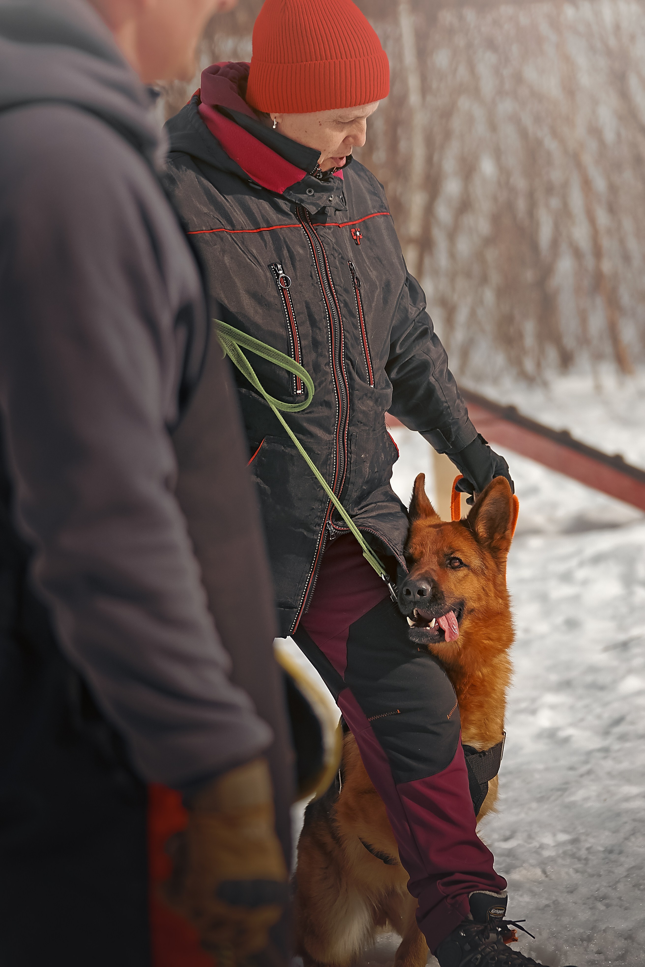 Репортажная съемка. Фотограф-анималист Нижний Новгород
