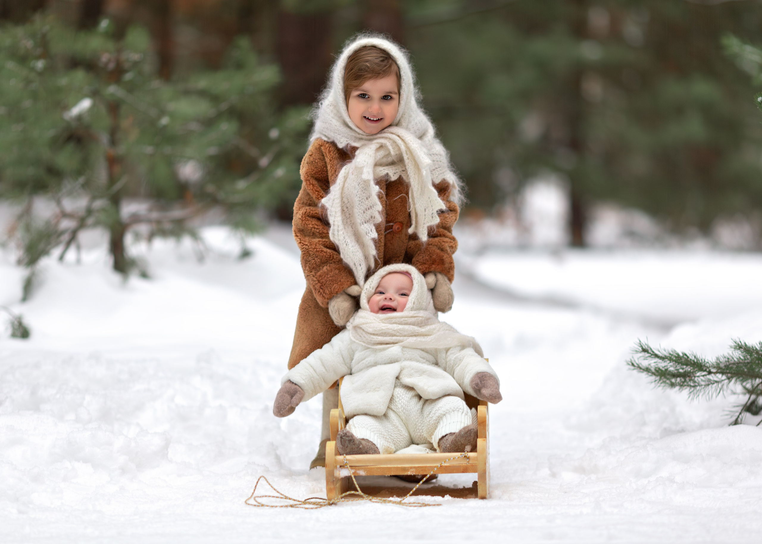 Девочка везет сестру на санках в лесу