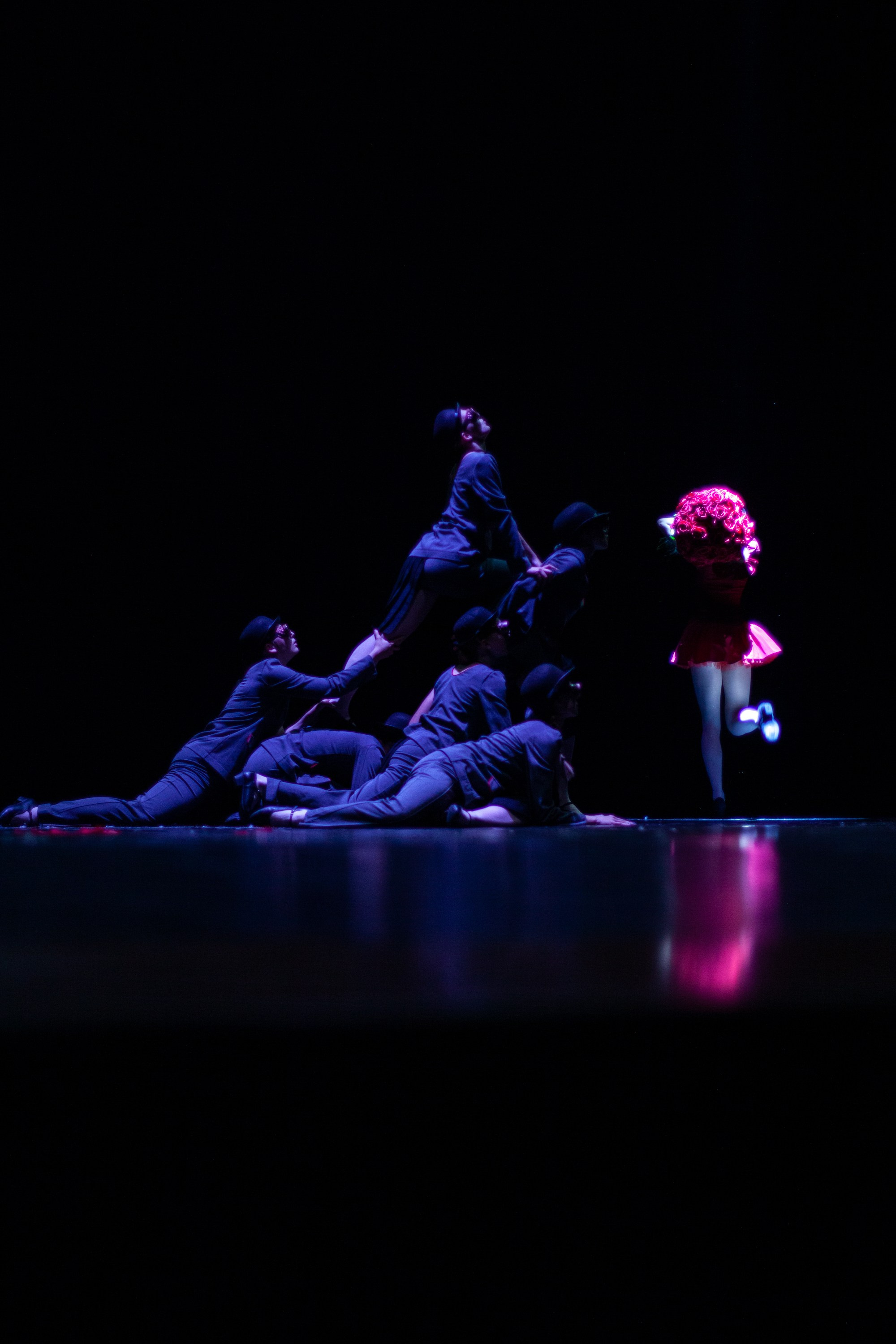 Концерты. Виолетта Скрипка