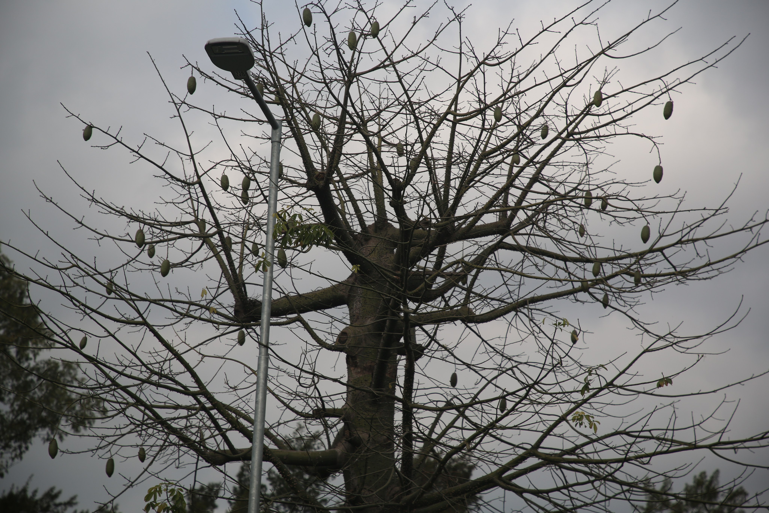 Buenos Aires, Argentina. Andrey Filippov Photographer