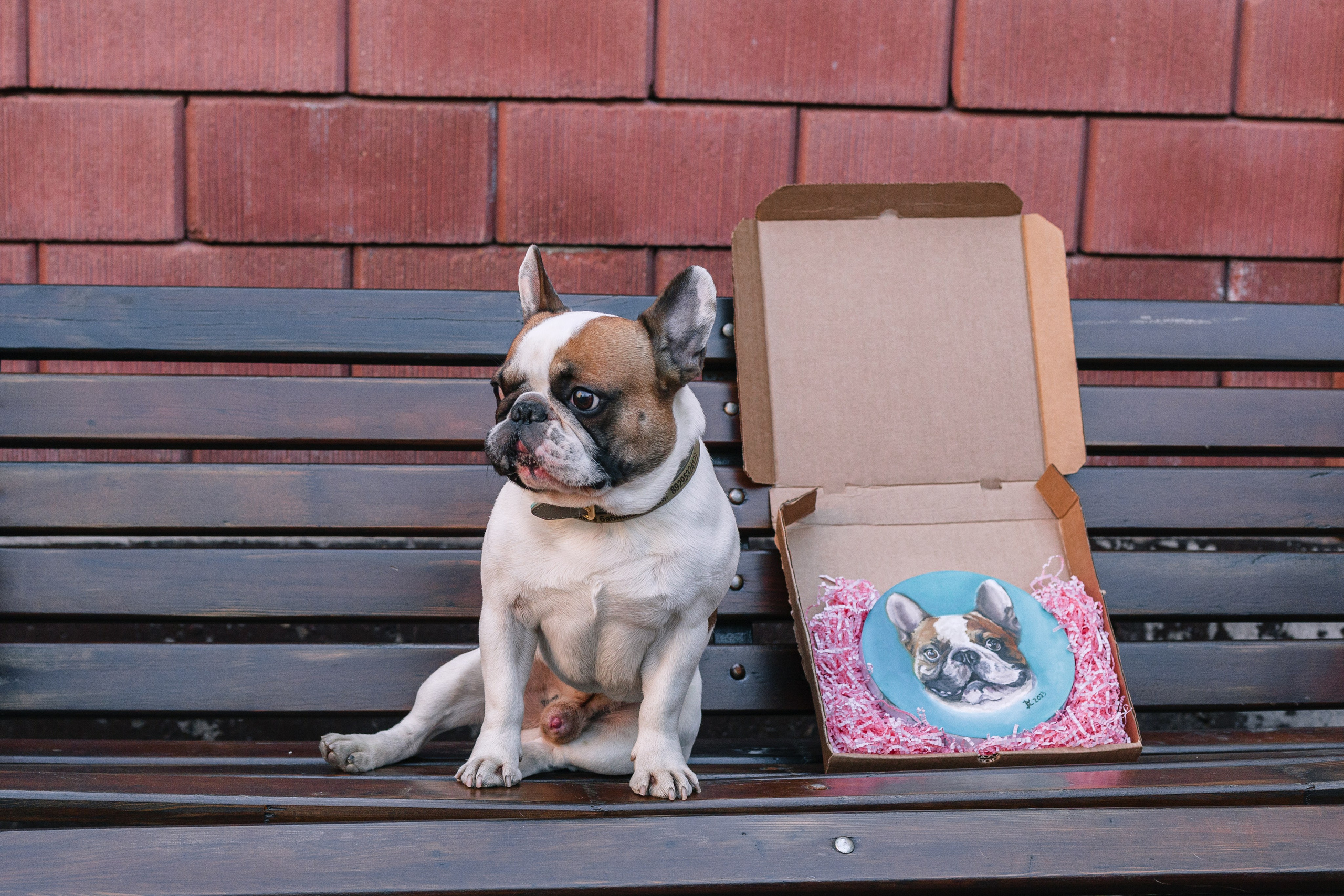 Бульбалл 23.04.2023. Фотограф-анималист Татьяна Степанова