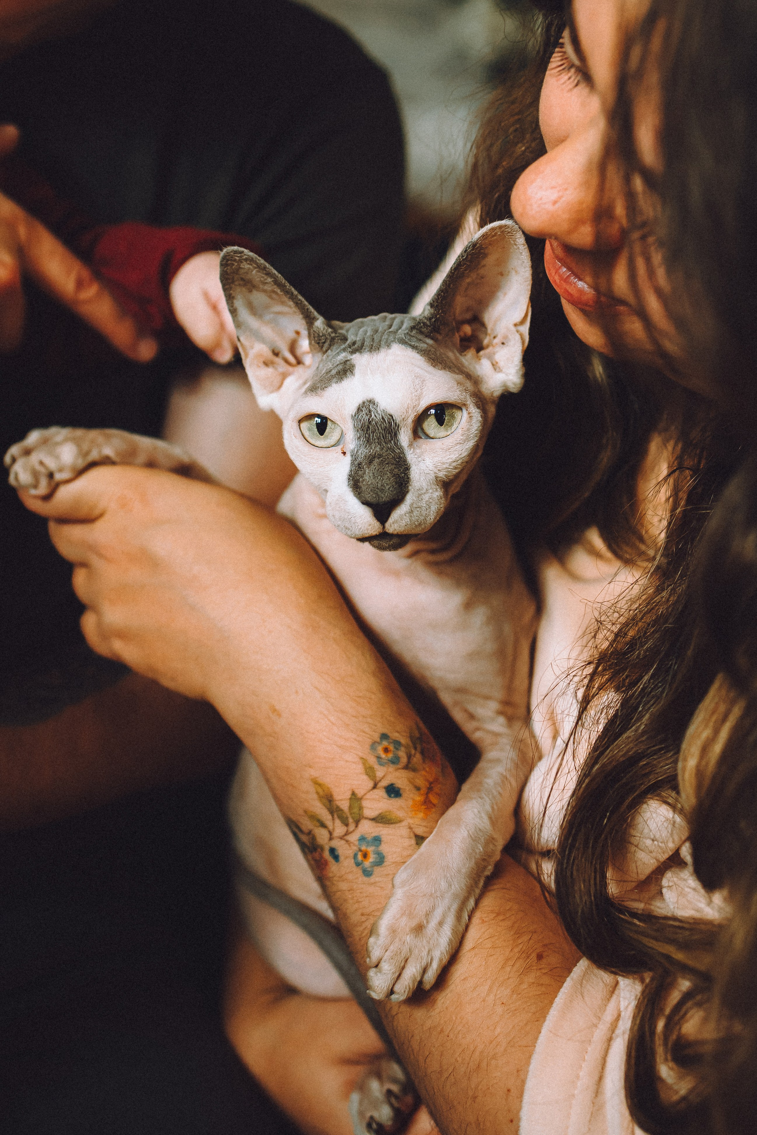 Топик и его семья