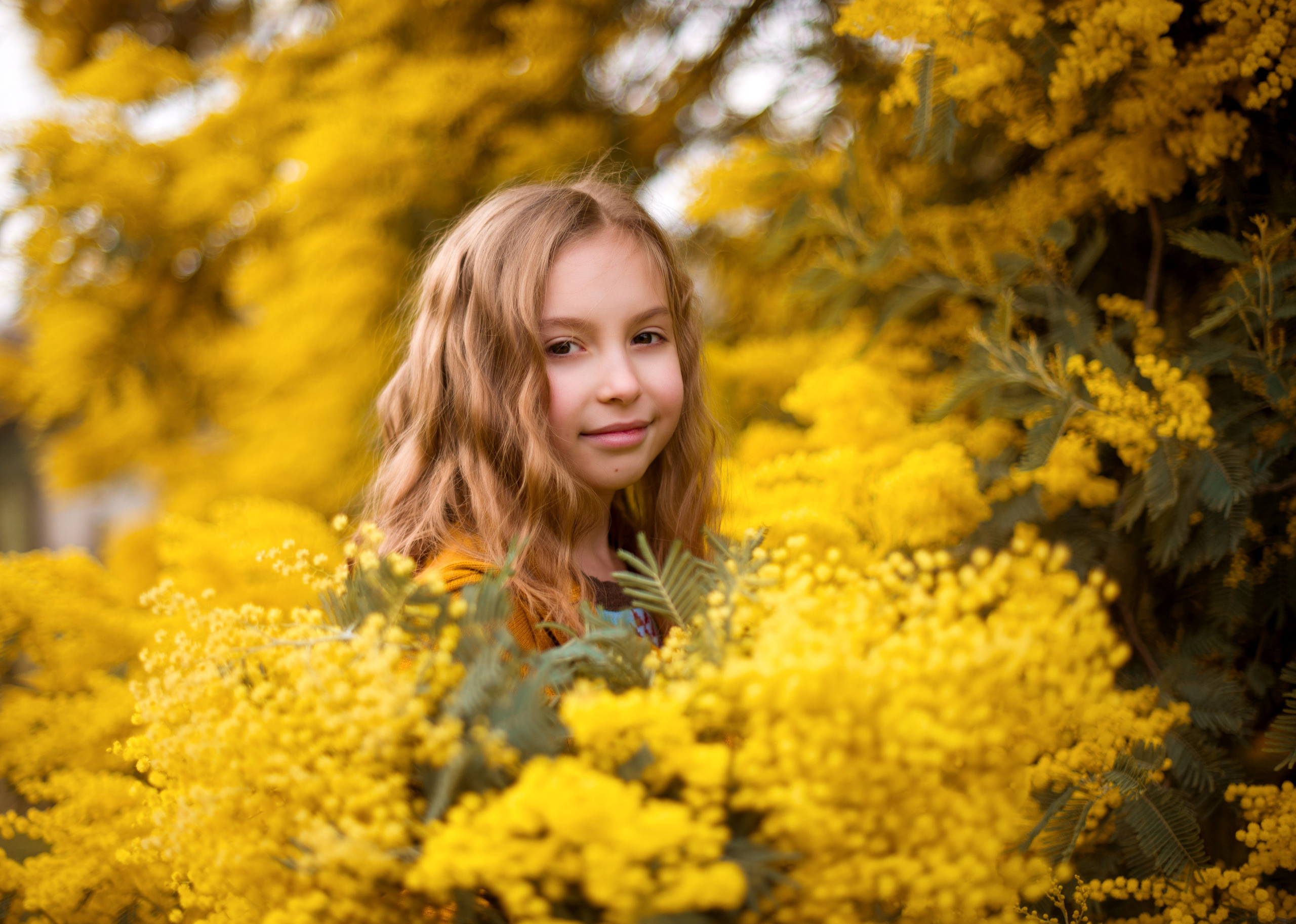 Мимоза. Детский и семейный фотограф в Абхазии