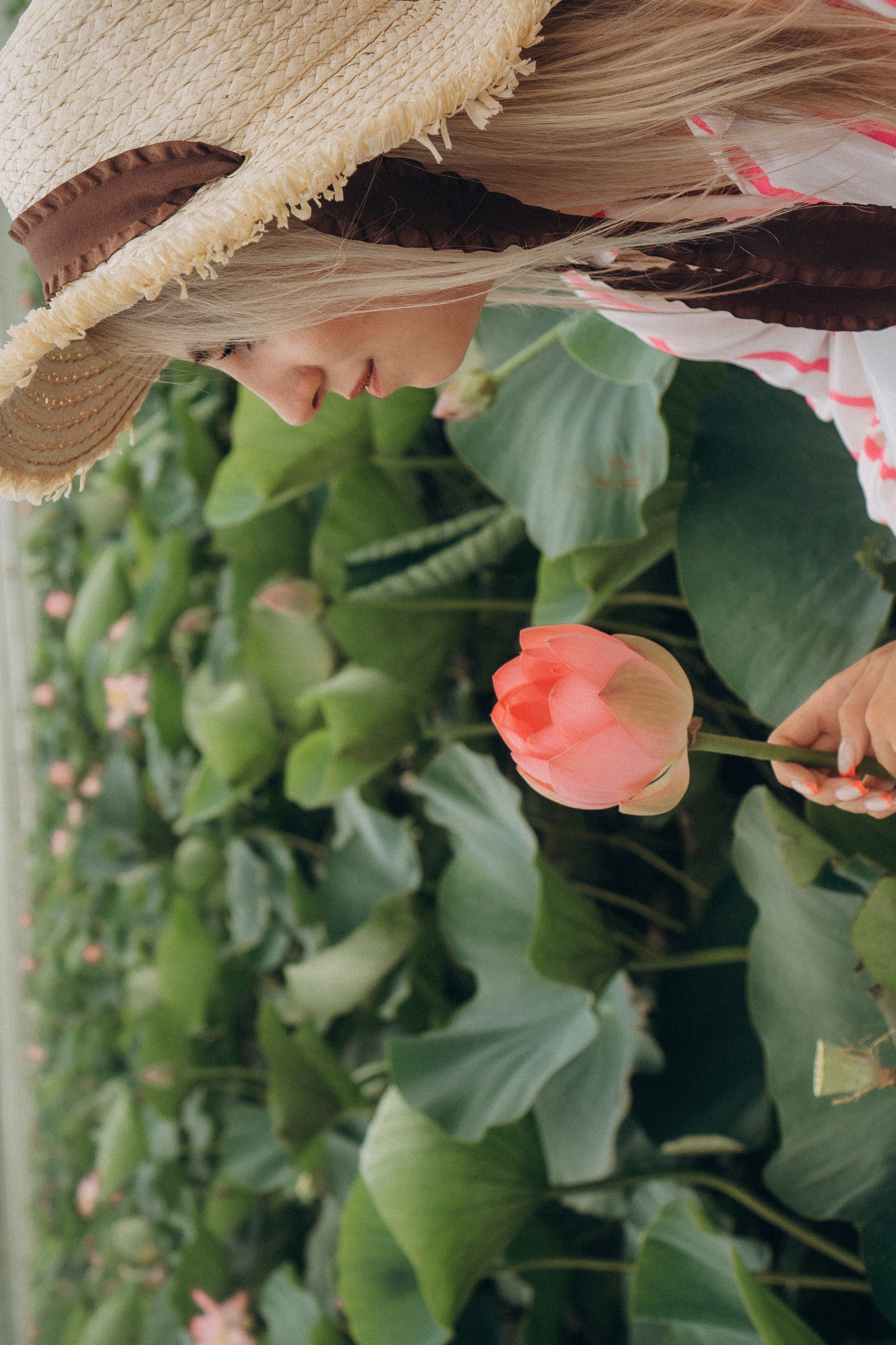 ЛОТОСОВАЯ ПОЛЯНА. Профессиональный фотограф, Санкт-Петербург — Виктория Богомолова