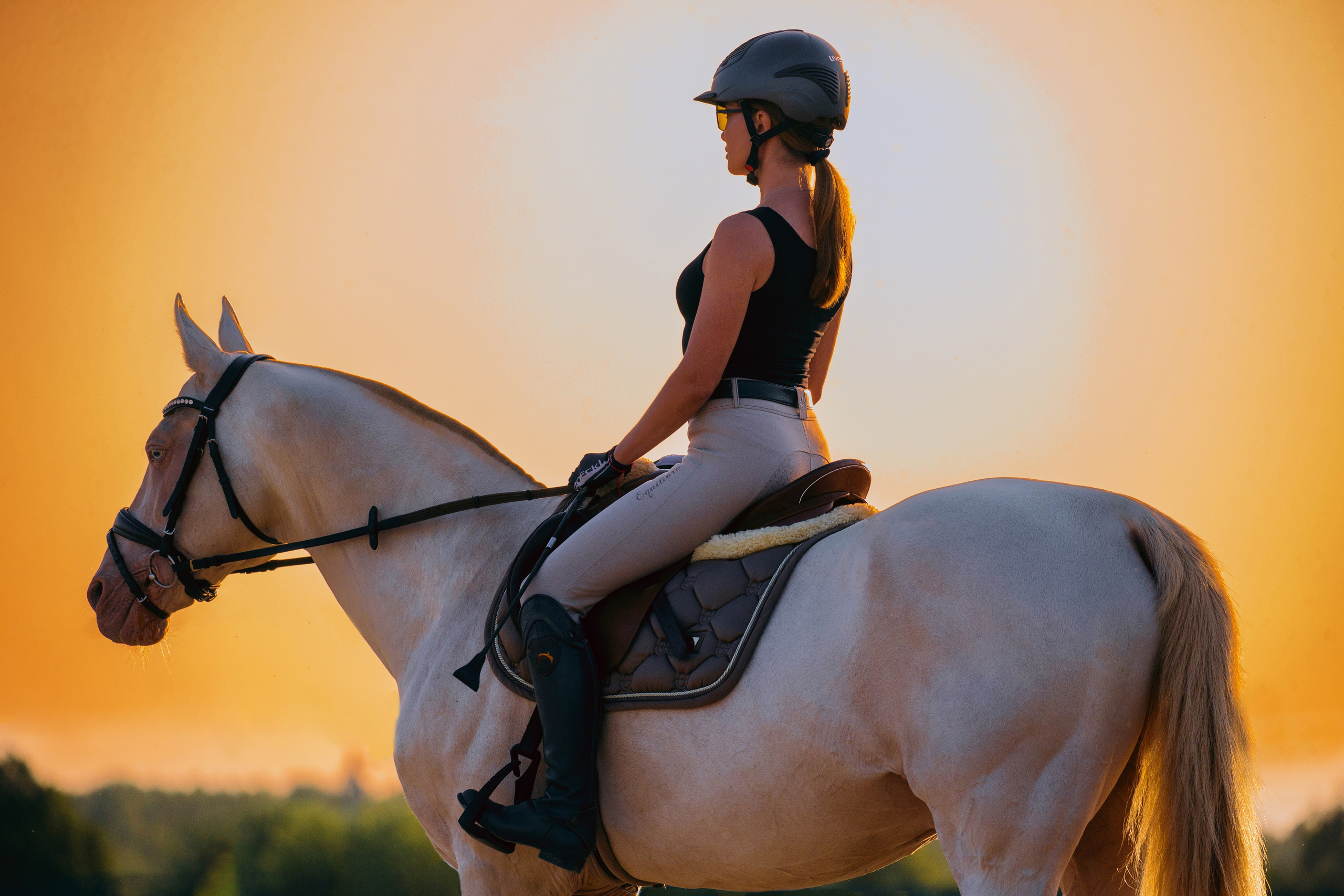 Тренировки. Фотограф-анималист Ксендзова Кристина