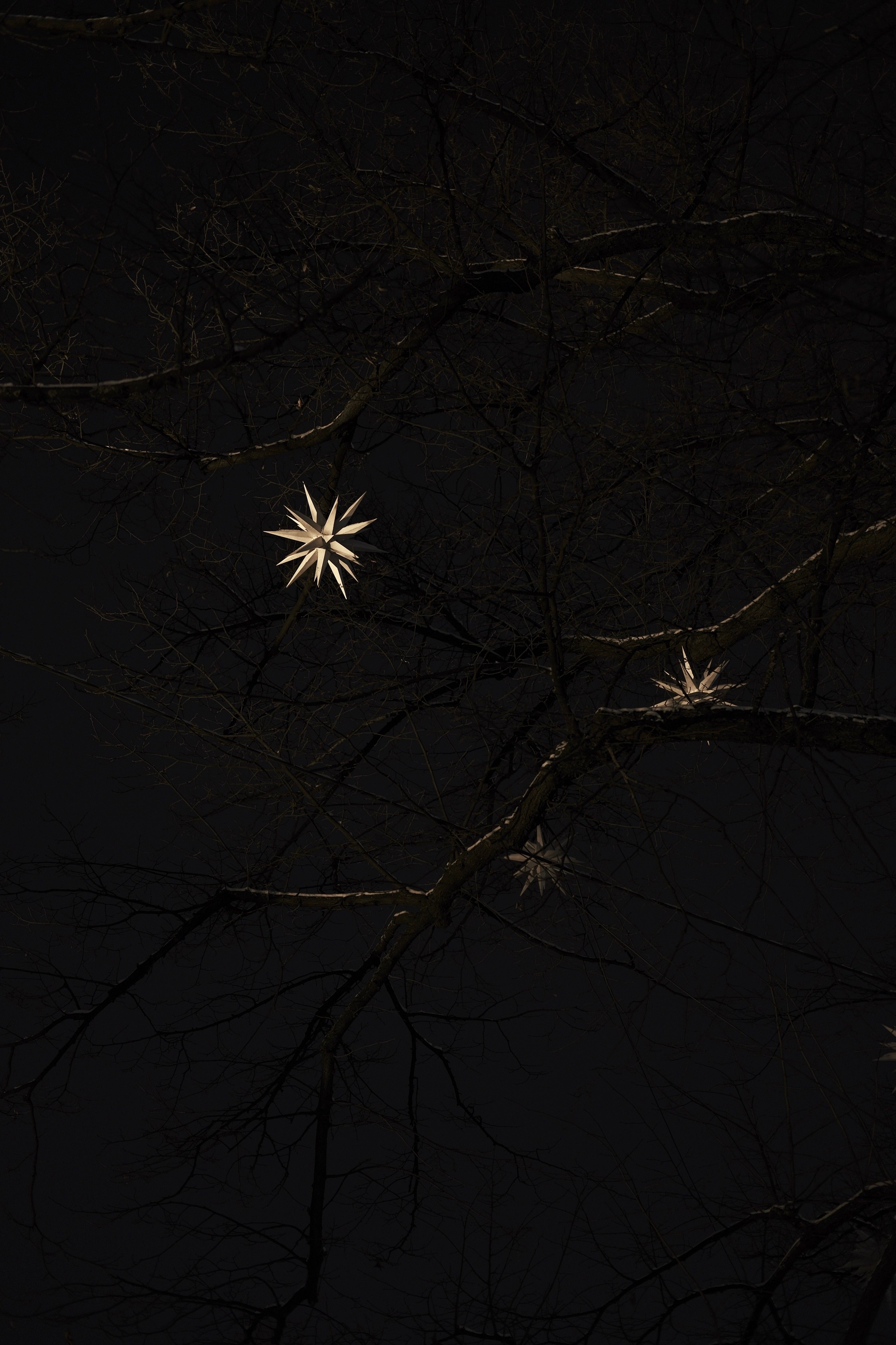 Город. BELABONKA