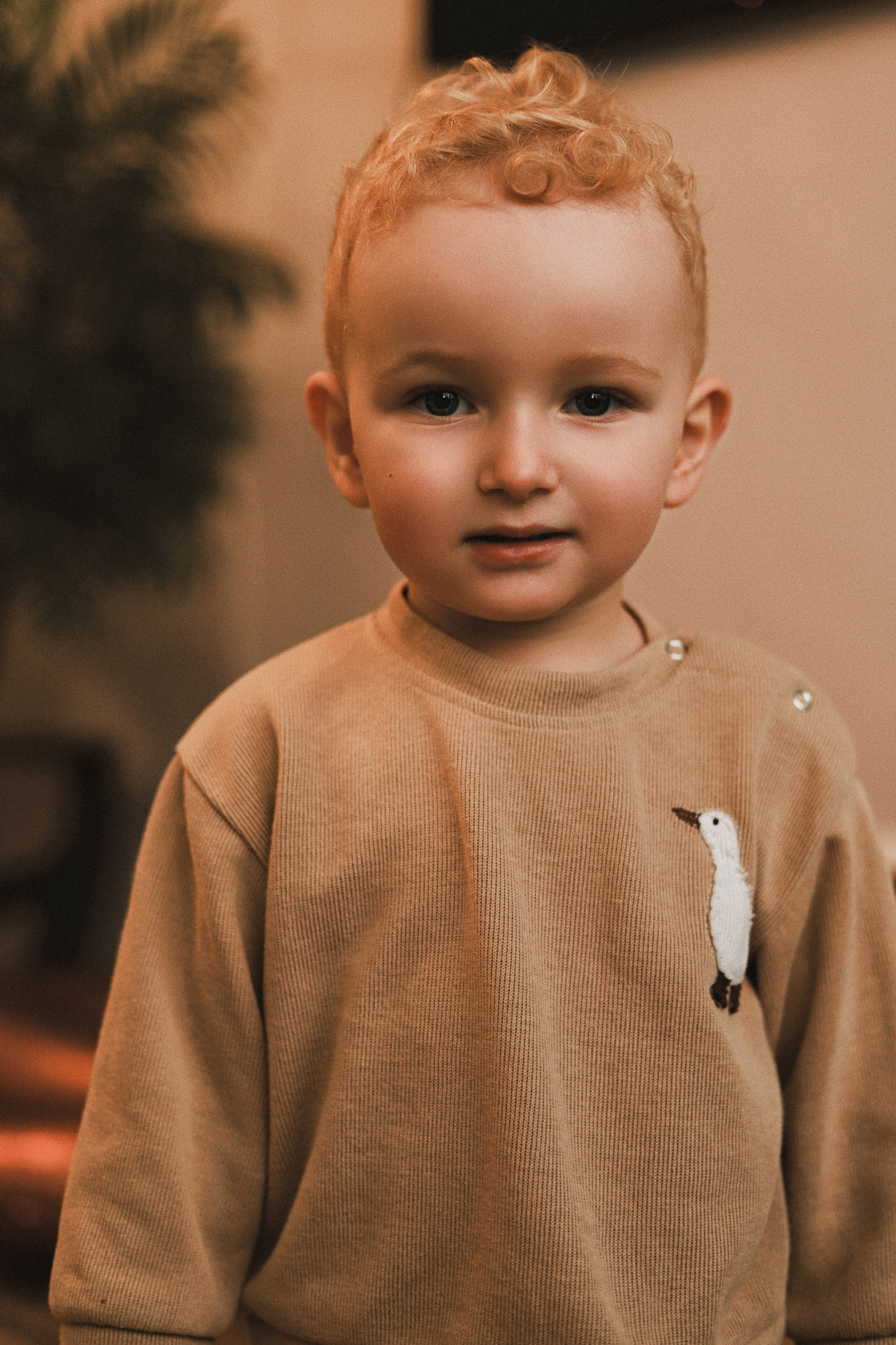 Семейные (домашние). Семейный фотограф, женский портрет в Ставрополе