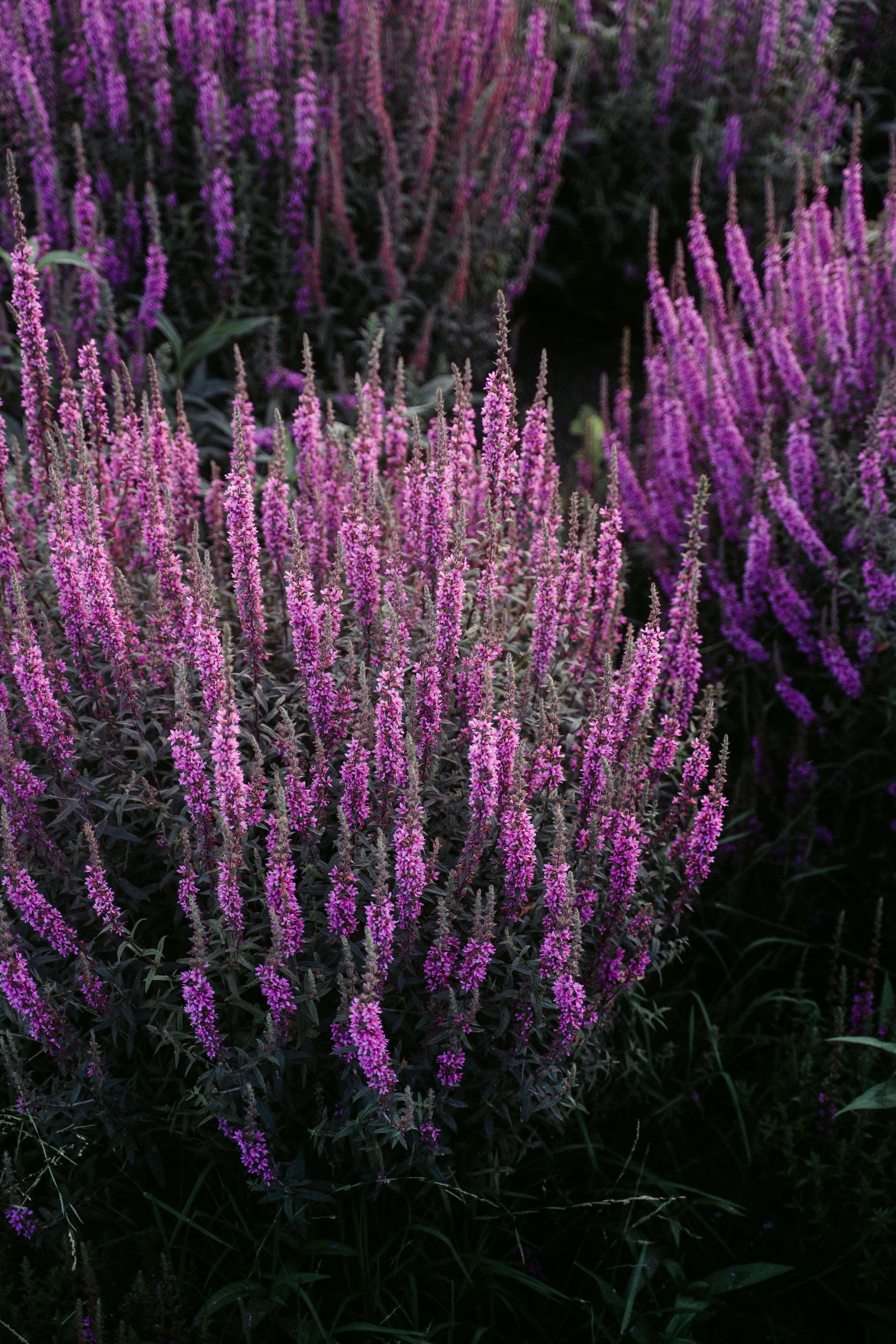 Вечер электронной музыки на Озере Кабан / 2023. Саша Копылов, фотограф в Казани