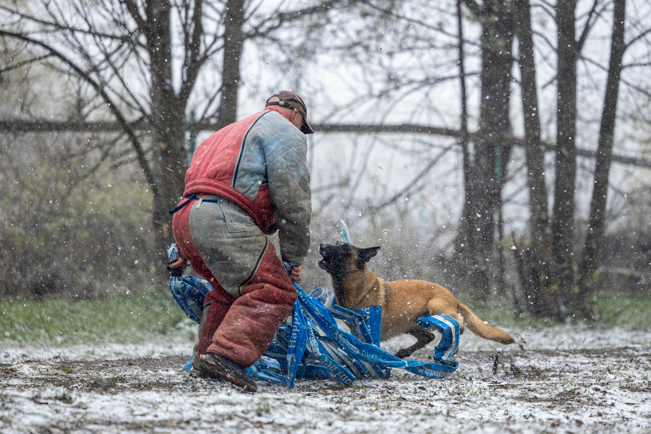 Квалификационные состязания по мондьорингу г. Вологда 11.05.24. Фотограф-анималист Анна Маринич