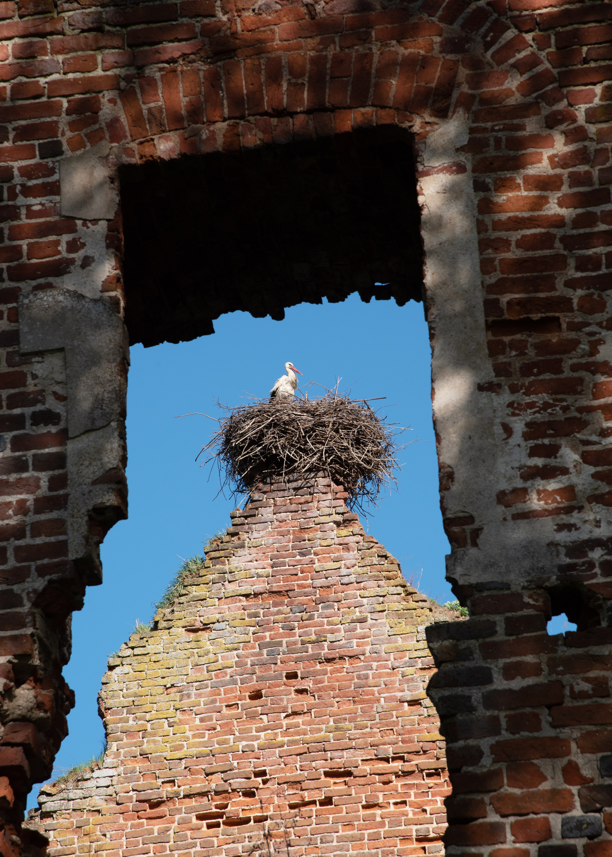 Калининград, Светлогорск. Фотограф Юлия Зимина