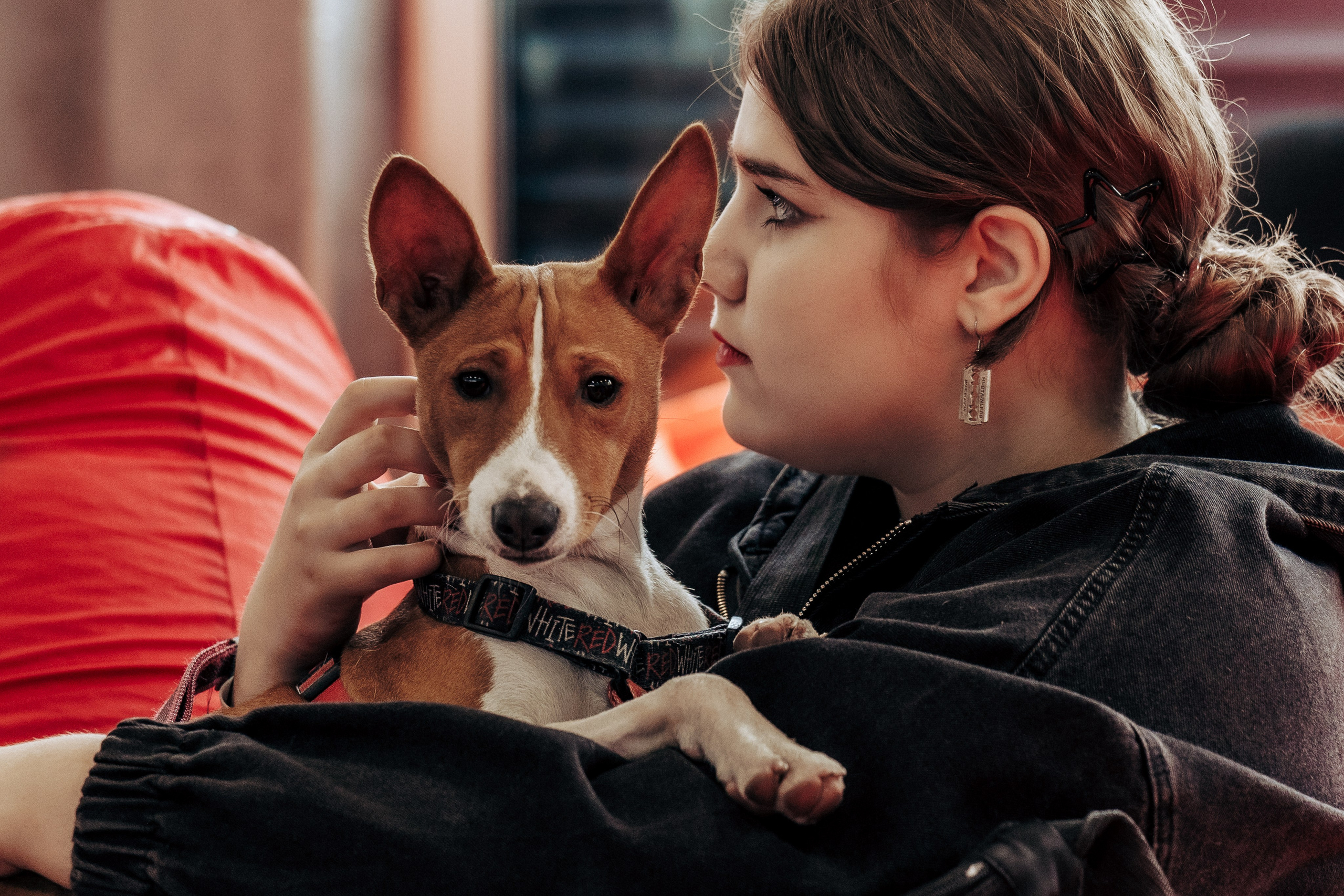 Репортажная фотосессия «День питомца-донора». Профессиональный фотограф в Санкт-Петербурге Александр Волосенцев