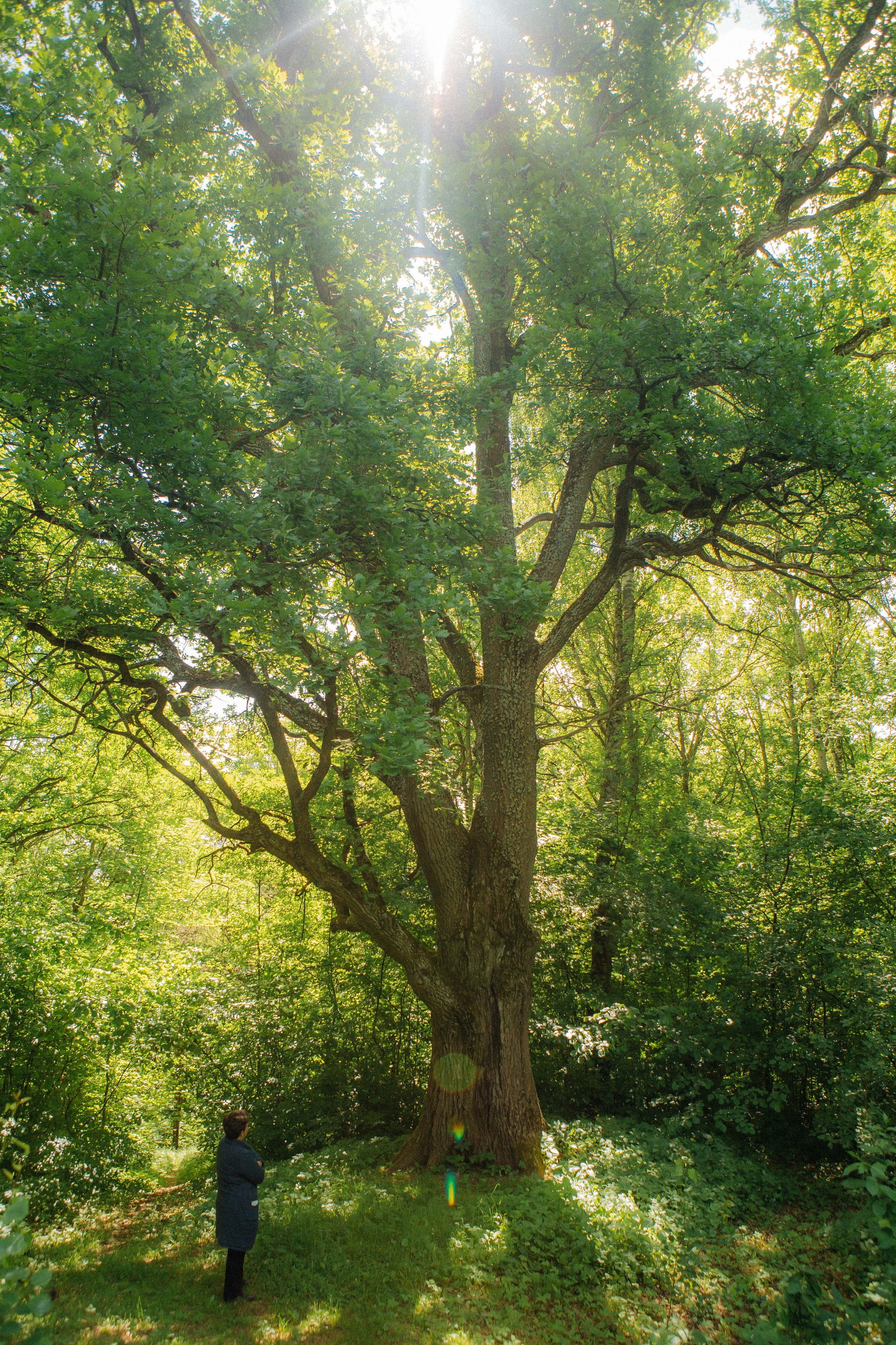 Музей-усадьба «Никольское-Вяземское». Профессиональный фотограф в Мценске и Орловской области