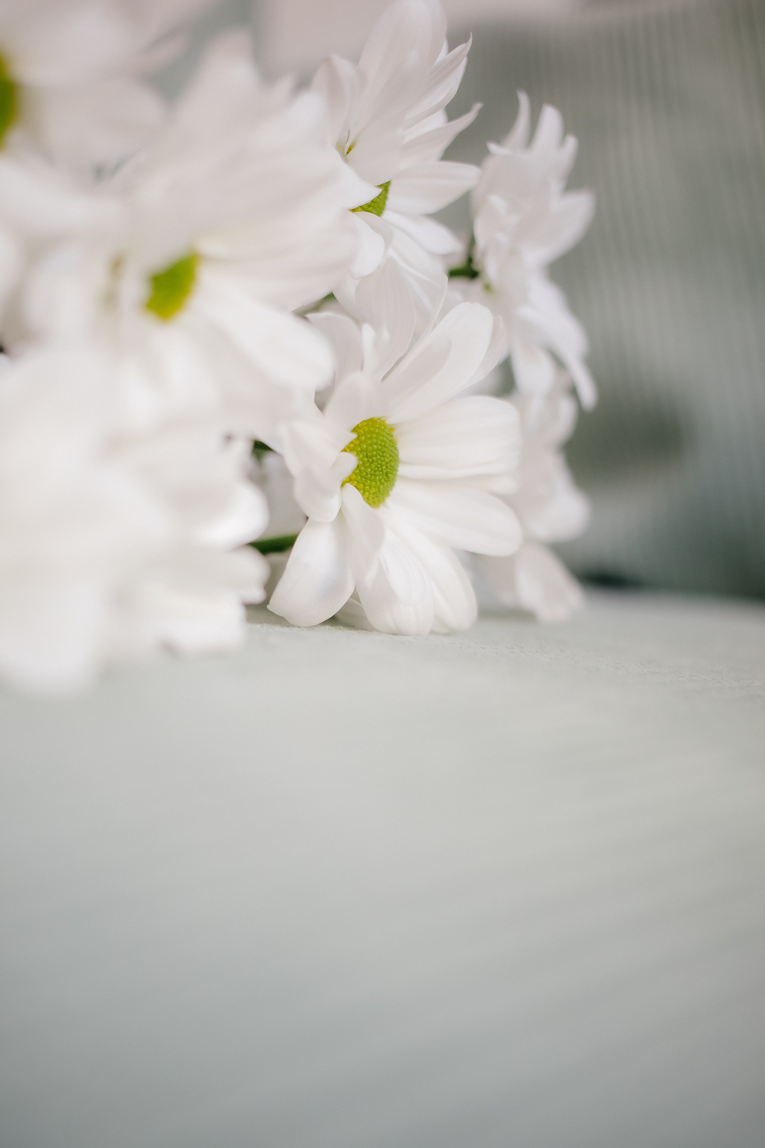 Визуал для доулы. Ирина Тихонова — фотограф для детей и коллективов в Москве