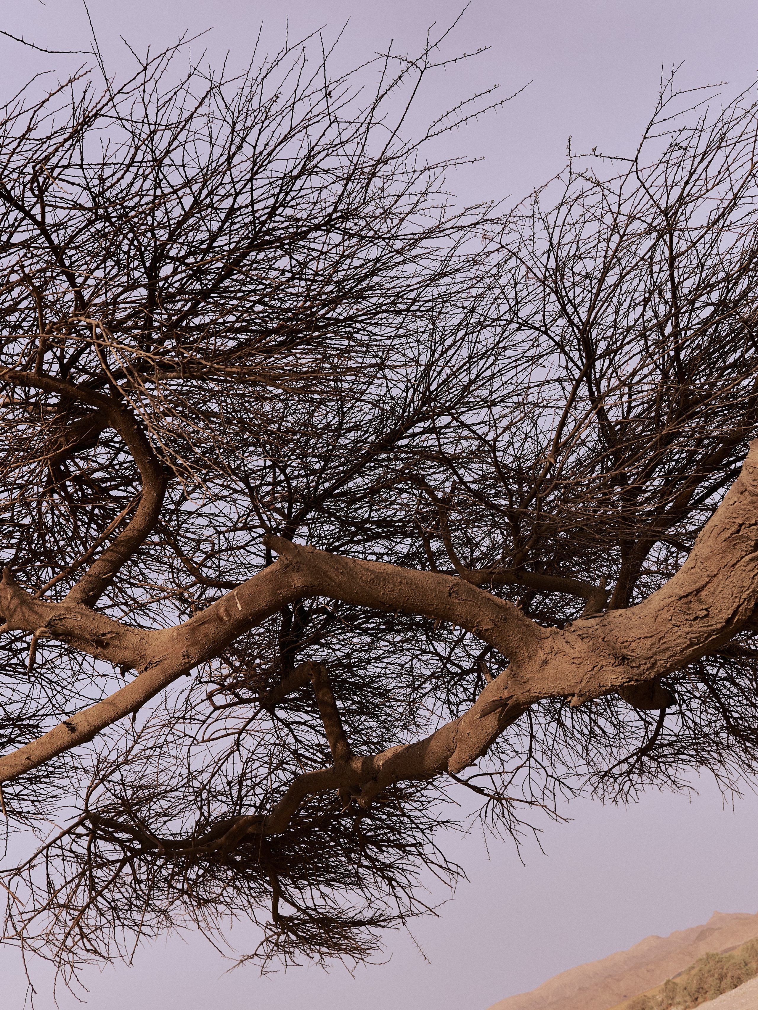 Другое 3. Jorgis Talè — photographer, kind person, teacher of arts and other mag