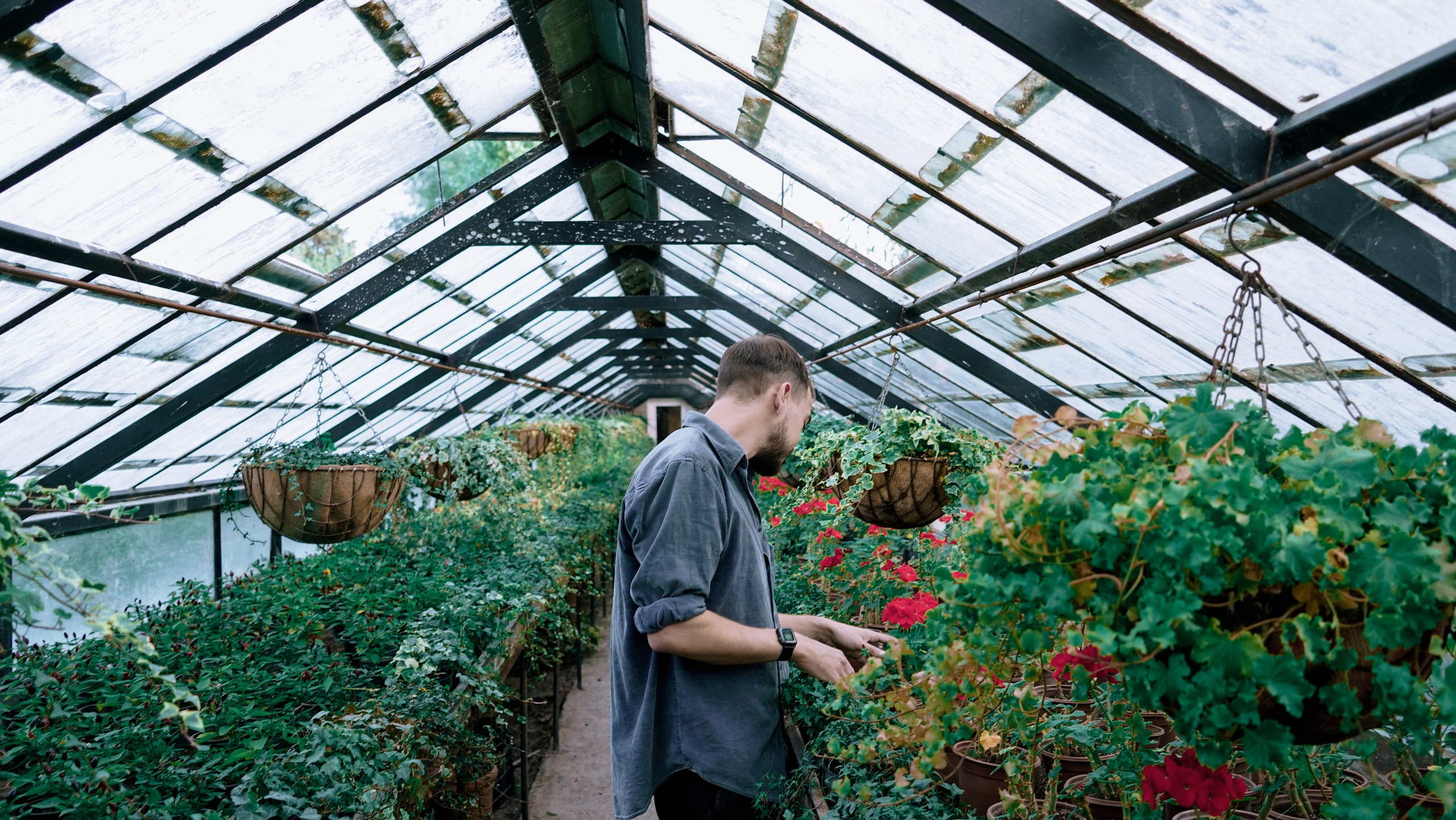 КИРИЛЛ | ГАРДЕНИА. Photographer Barcelona