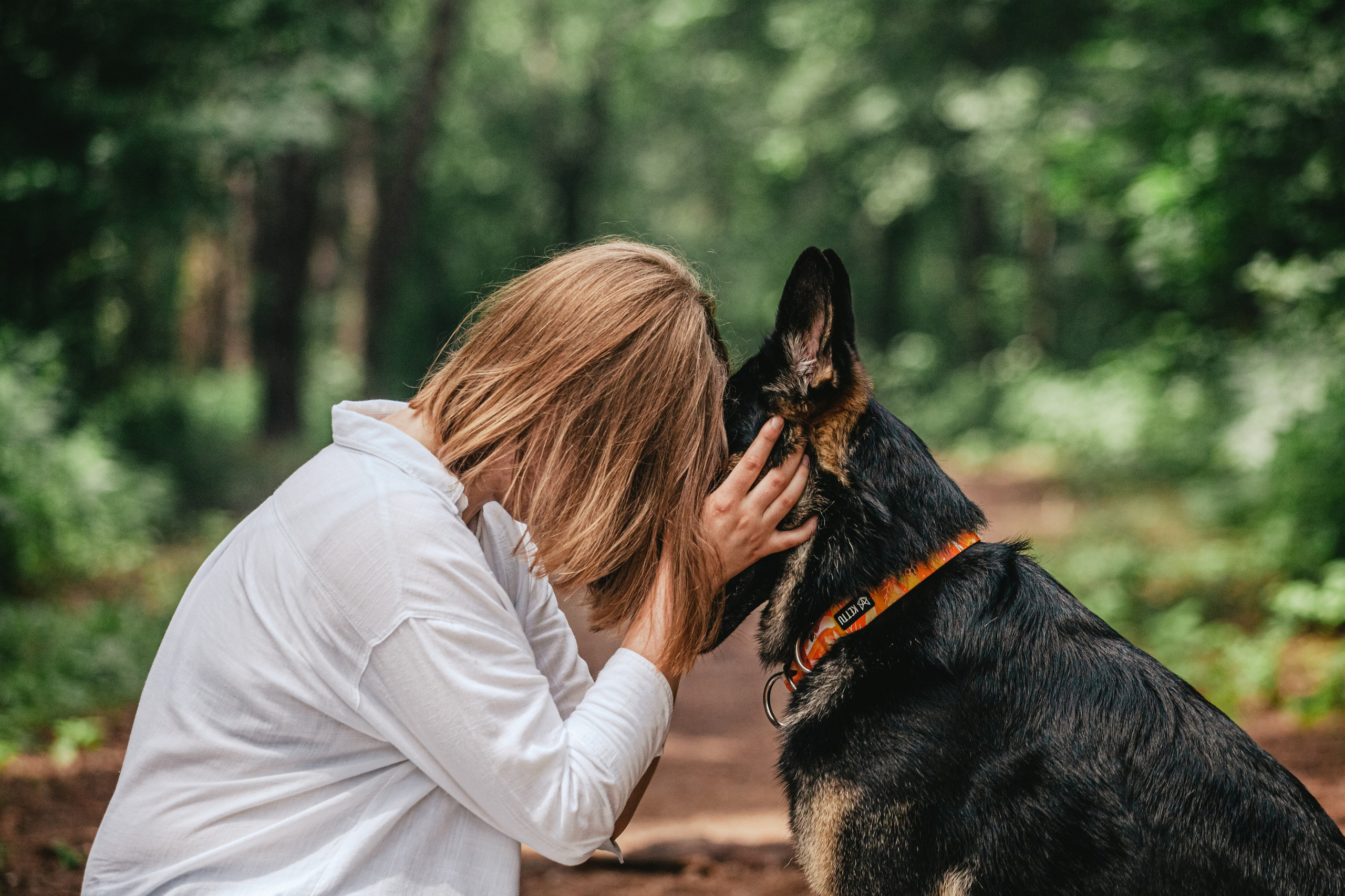 Лесная летняя фотопрогулка. Фотограф-анималист Татьяна Степанова